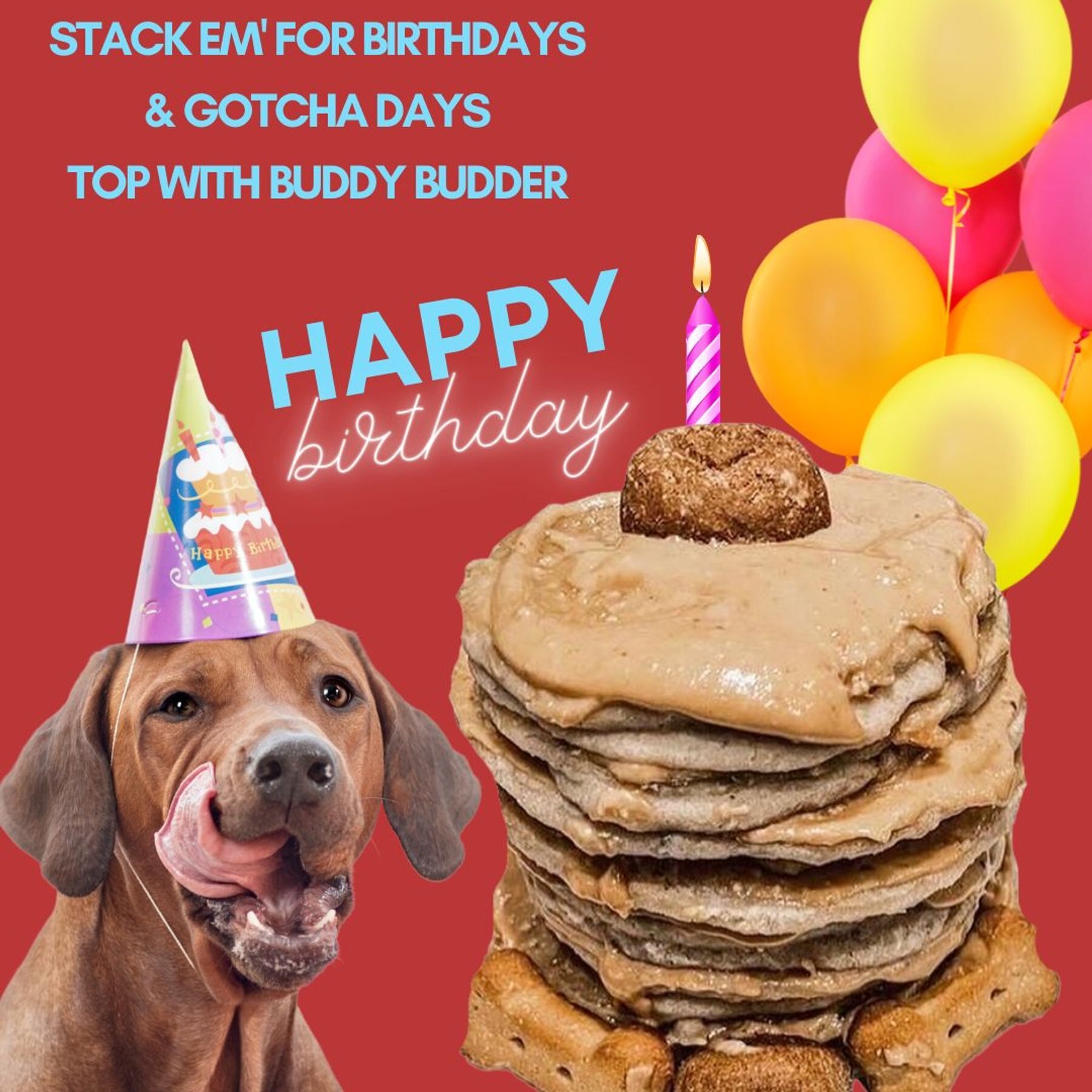 Bark Bistro Company Begging Bacon Pooch Pancakes Mix Dog Soft & Chewy Treats, 14-oz pouch