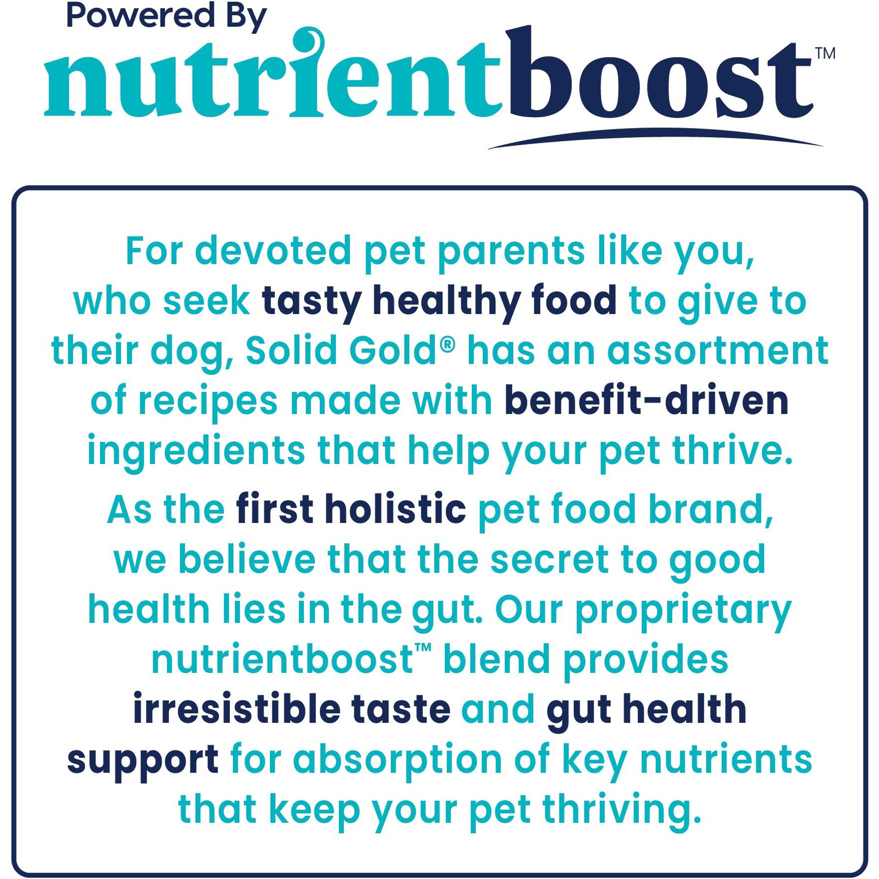 Solid Gold Nutrientboost Hund-n-Flocken Lamb Recipe with Healthy Whole Grains Wet Dog Food, 12.5-oz can, case of 6