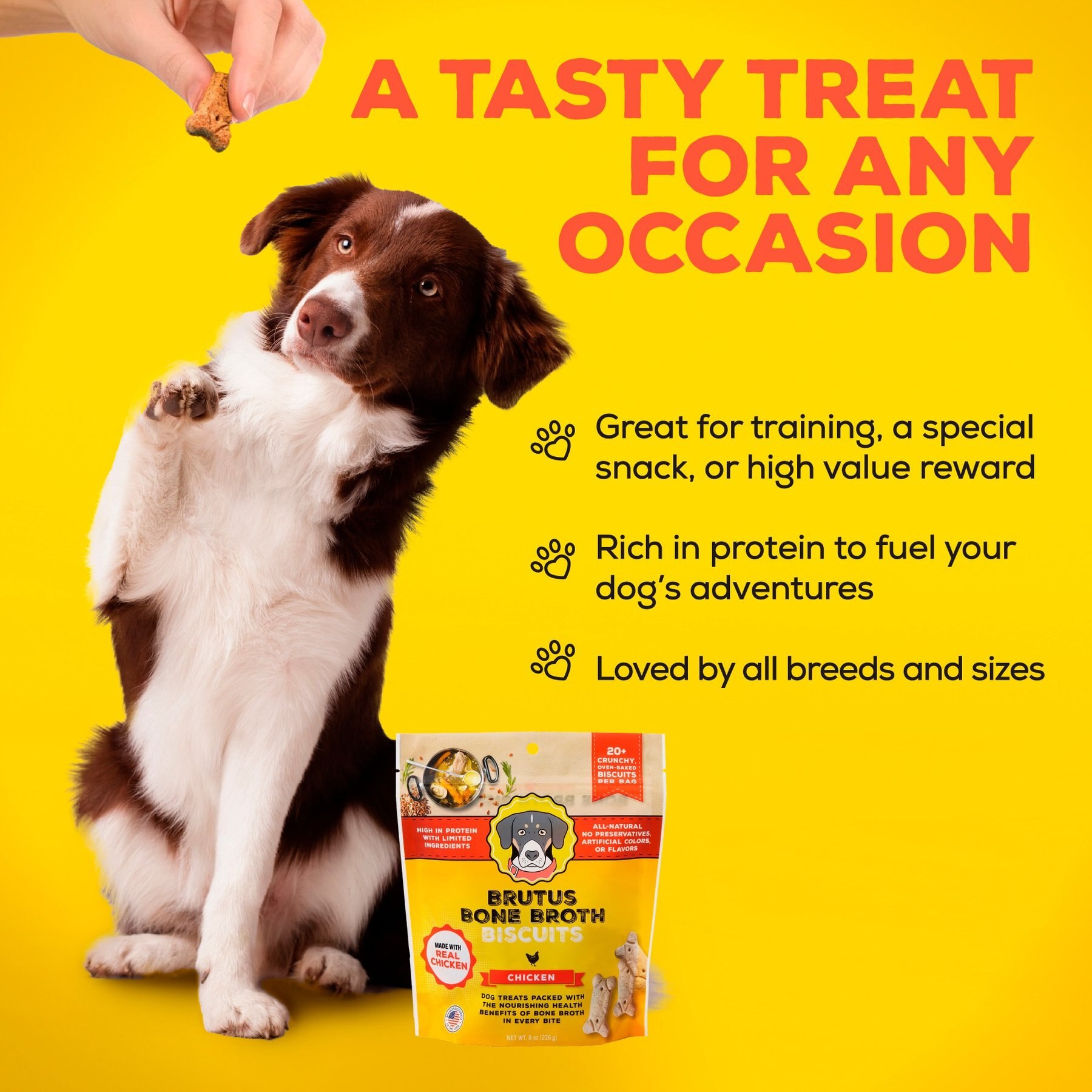Brutus Broth Bone Broth Biscuits Chicken Dog Treats