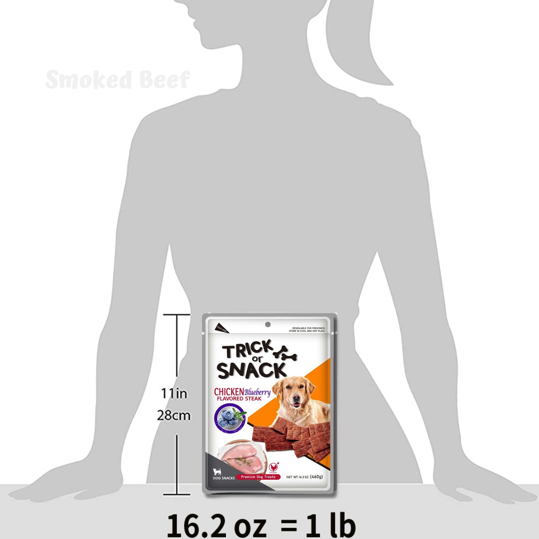 Trick or Snack Chicken & Blueberry Flavored Steak Dog Treats, 1-lb bag