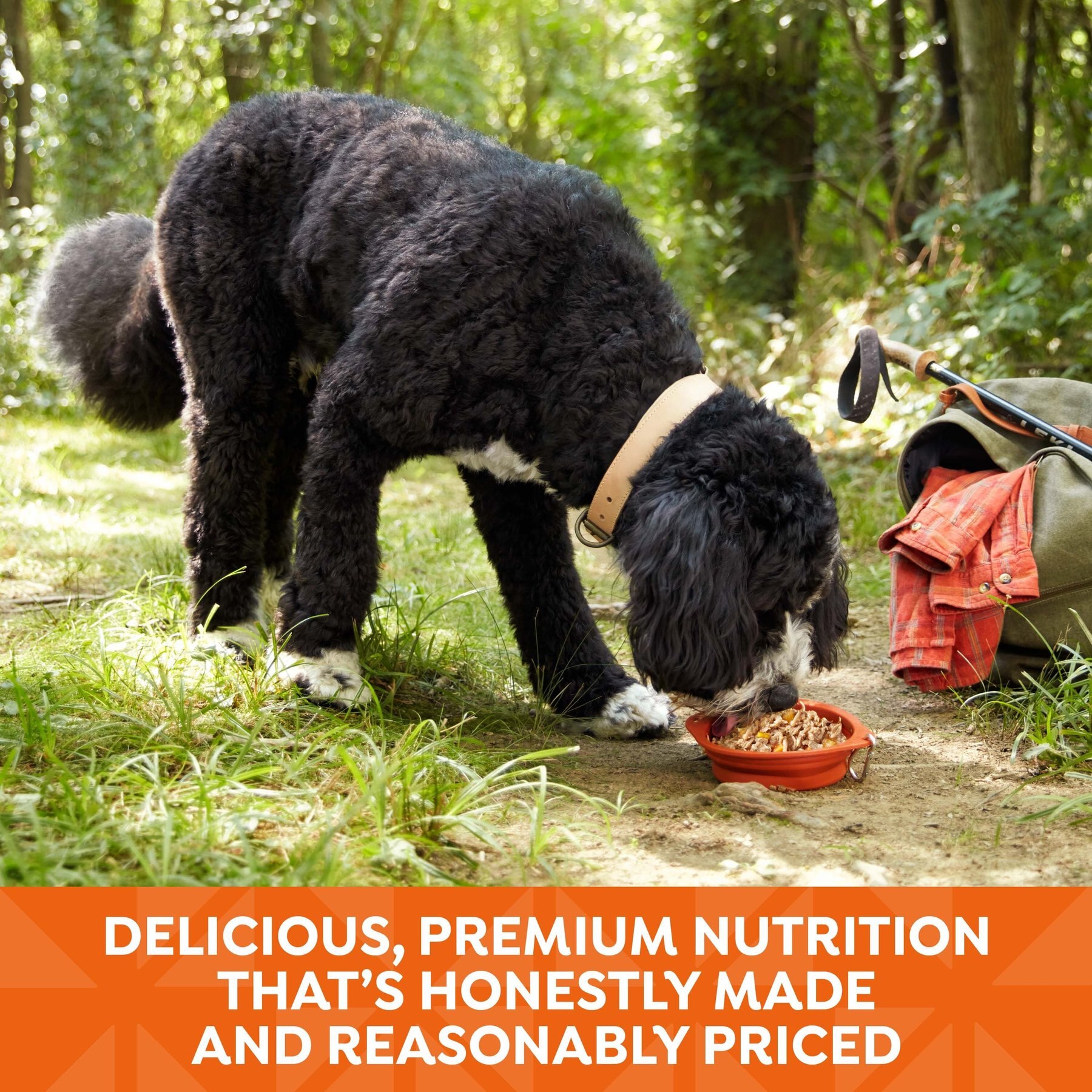 Nature's Recipe Grain-Free Chicken Recipe in Broth Wet Dog Food