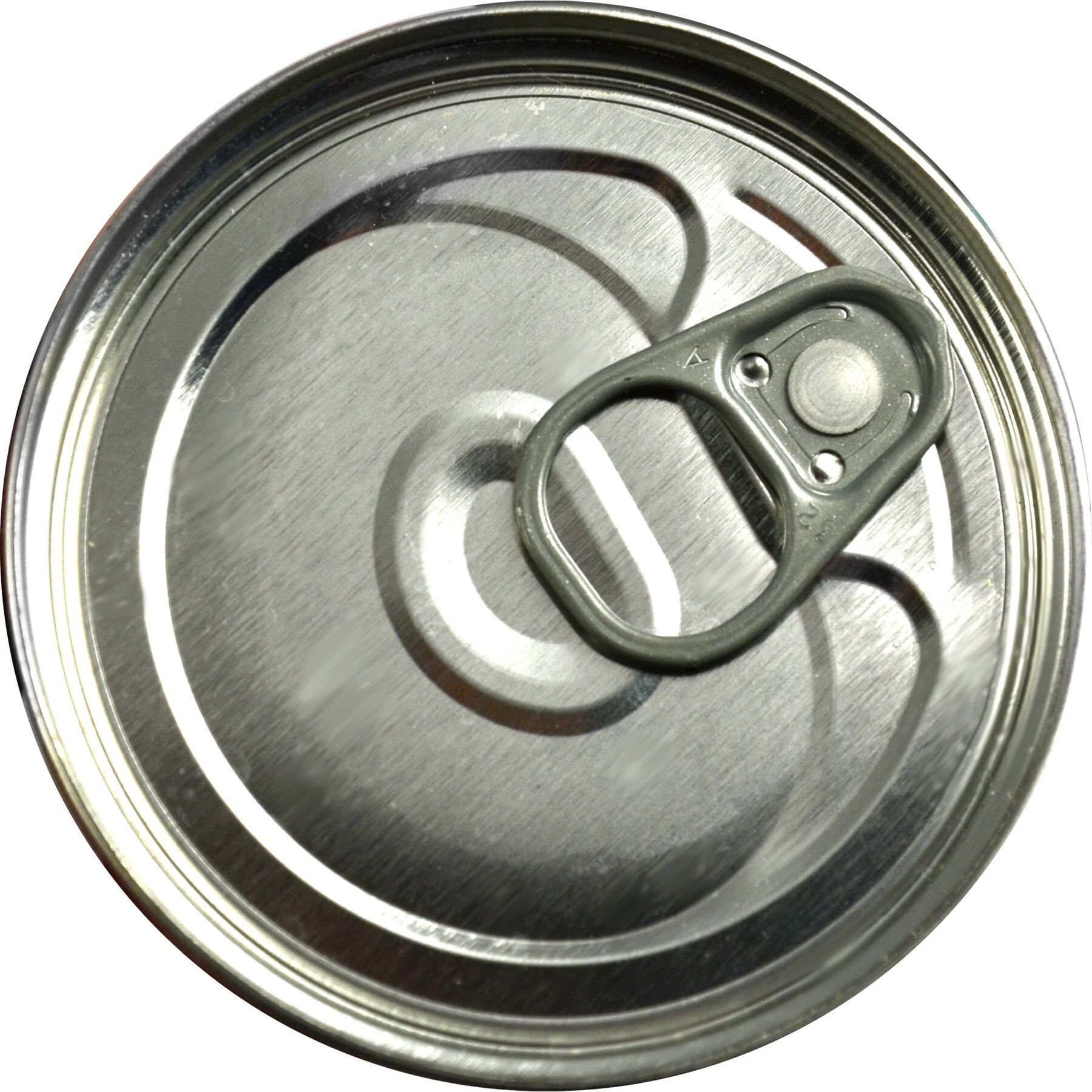 OrgaNOMics Salmon & Duck Dinner Grain-Free Pate Wet Dog Food