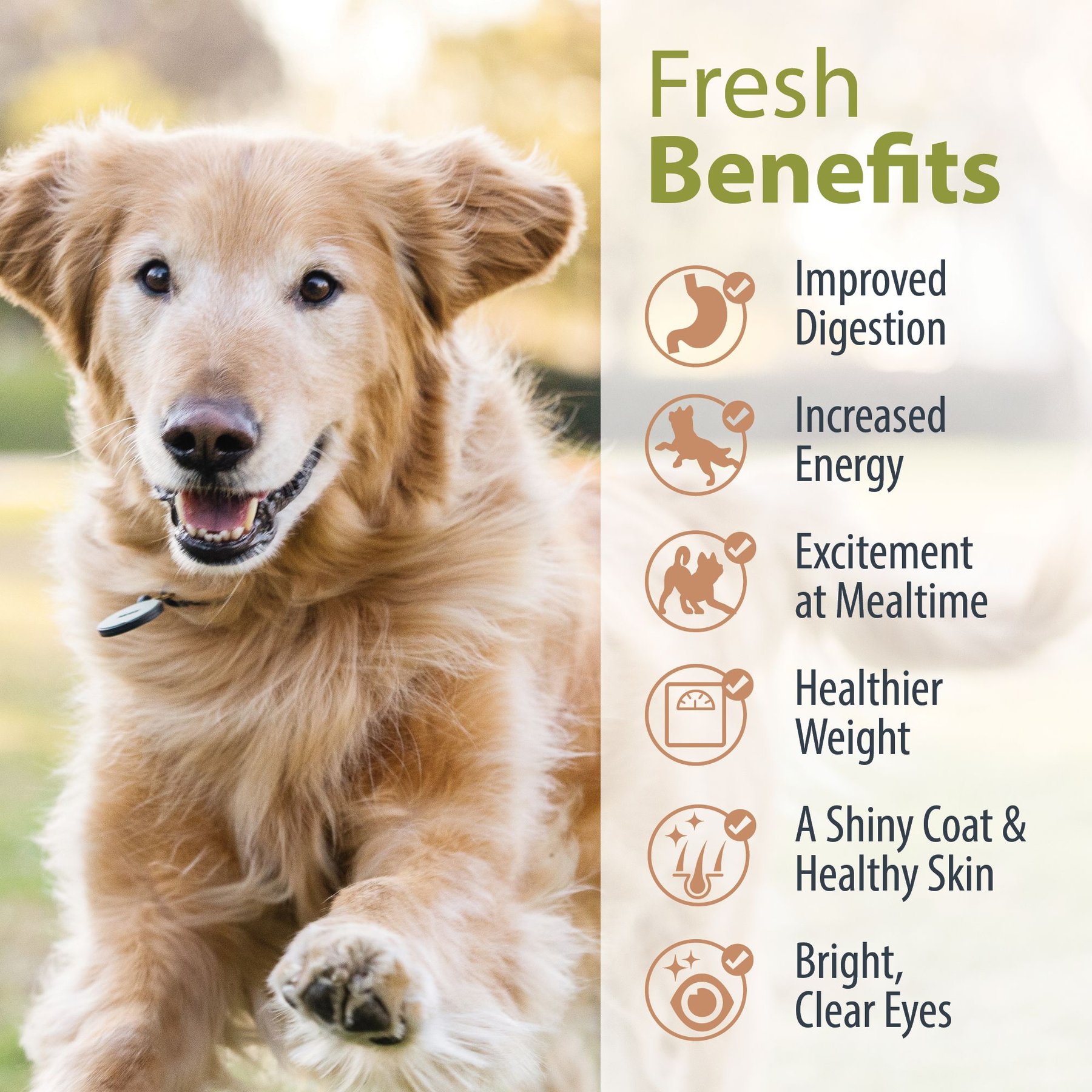 JustFoodForDogs Pantry Fresh Chicken & White Rice Fresh Dog Food