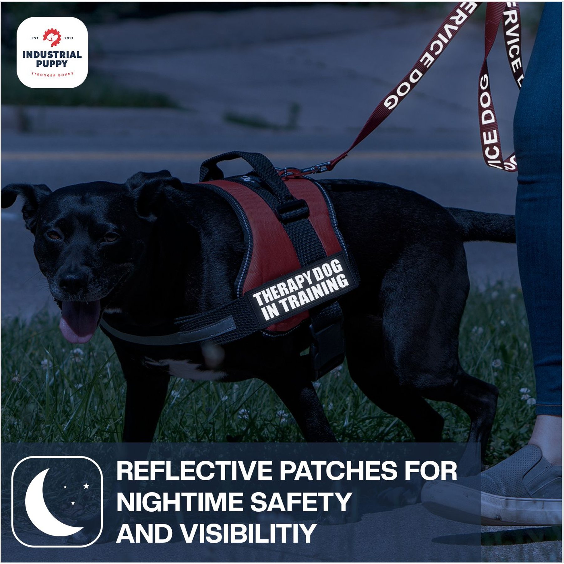 Industrial Puppy Therapy Dog In Training Harness Dog Patch
