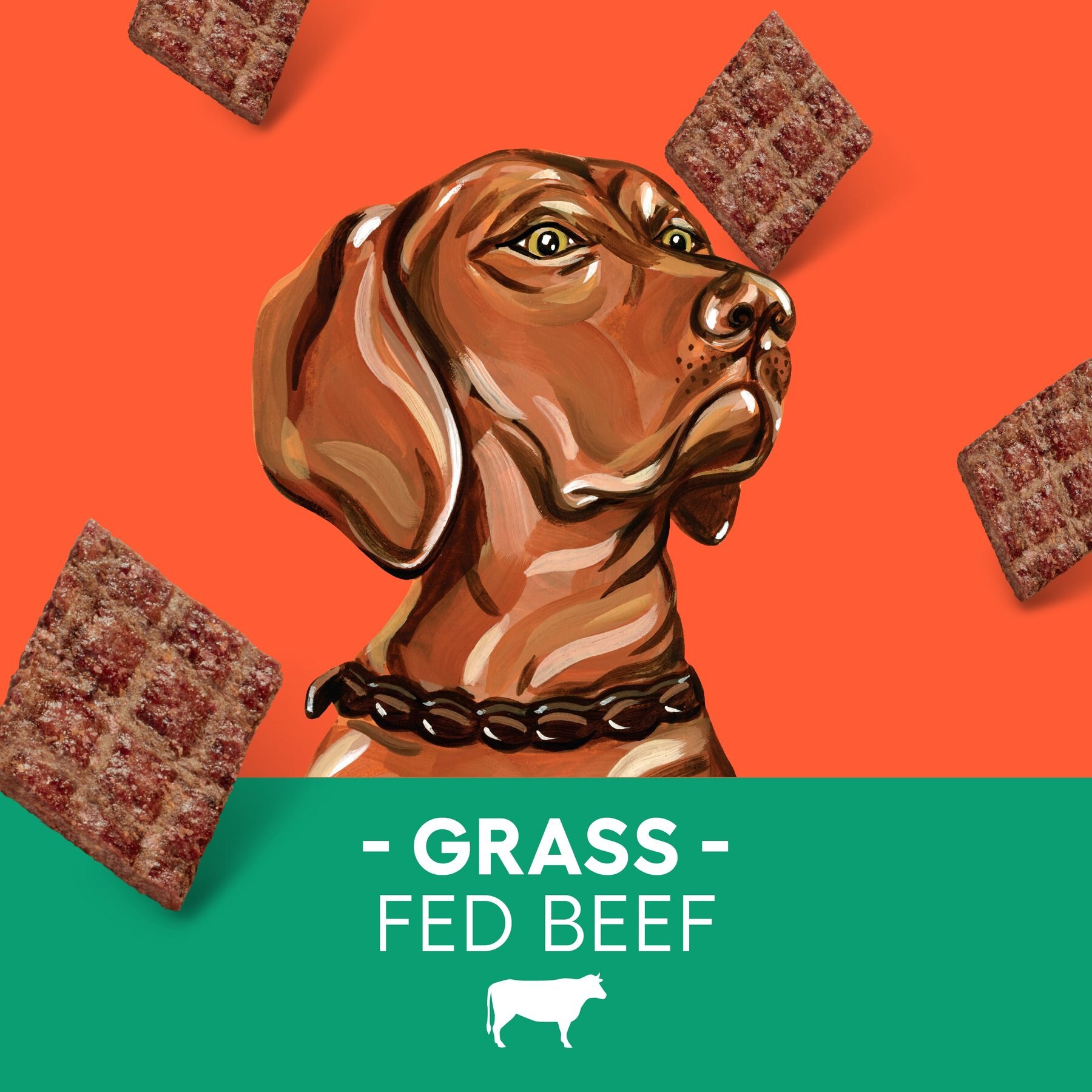 Newman's Own Beef Jerky Beef & Sweet Potato Recipe Dog Treats