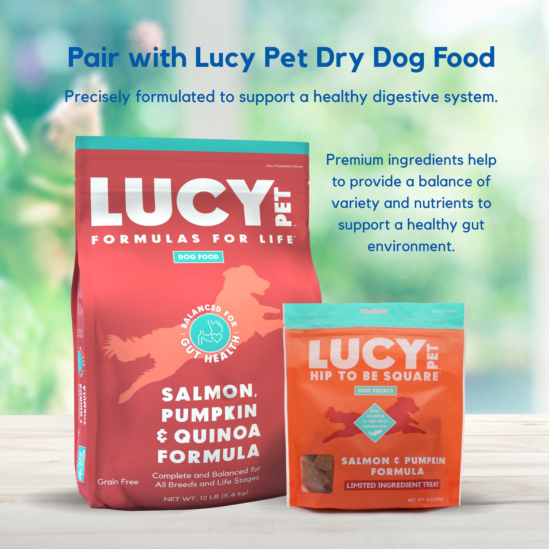 Lucy Pet Products Hip To Be Square Salmon & Pumpkin Formula Grain-Free Dog Treats