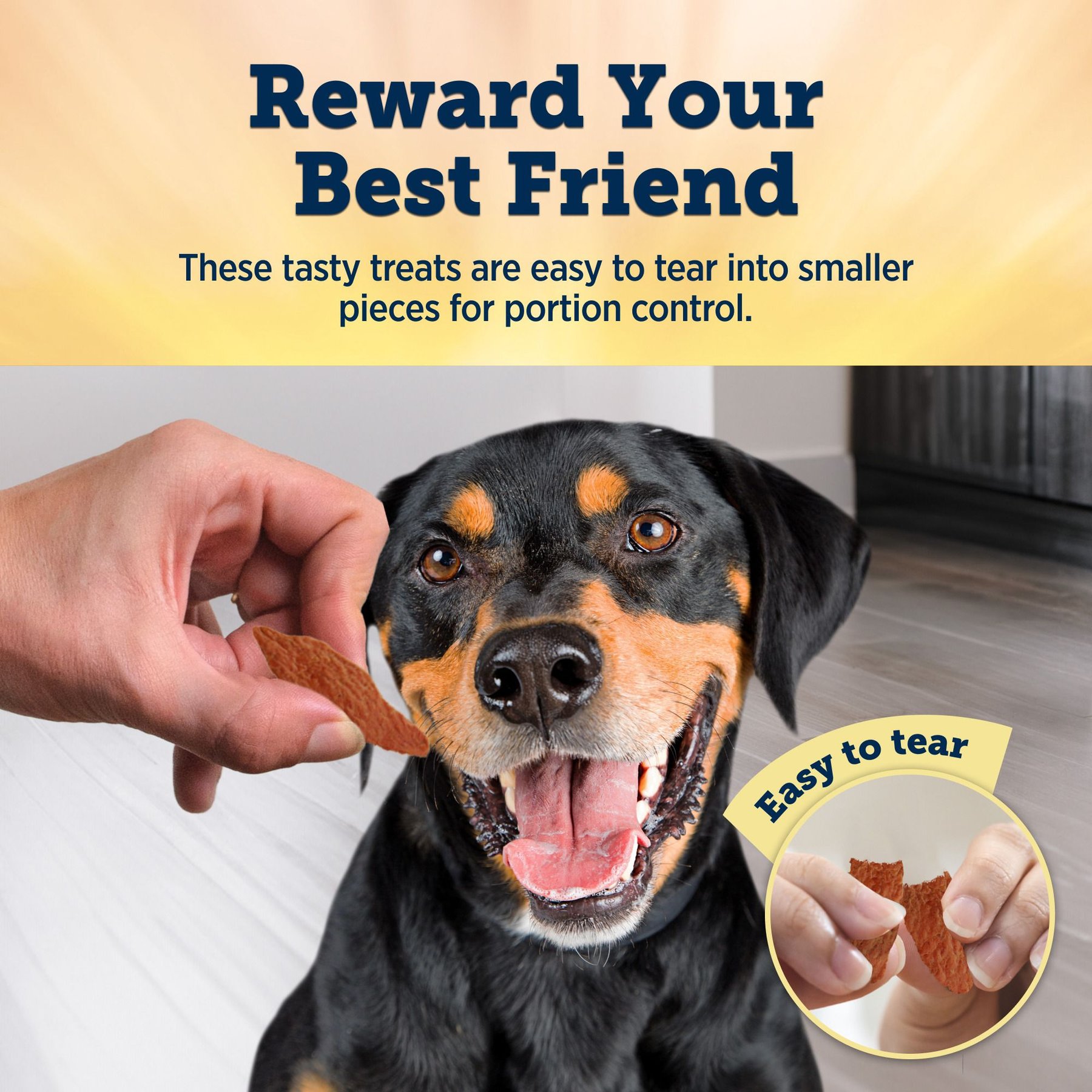 Blue Buffalo True Chews Premium Jerky Cuts Chicken Jerky Dog Treats