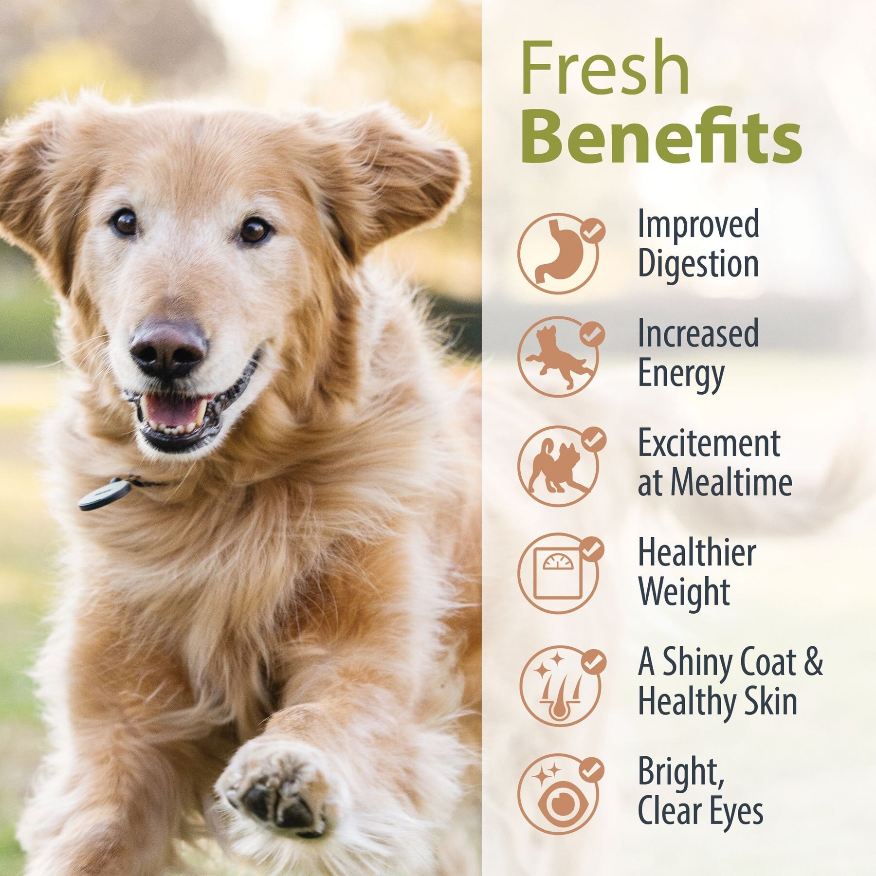 JustFoodForDogs Pantry Fresh Turkey & Whole Wheat Macaroni Fresh Dog Food