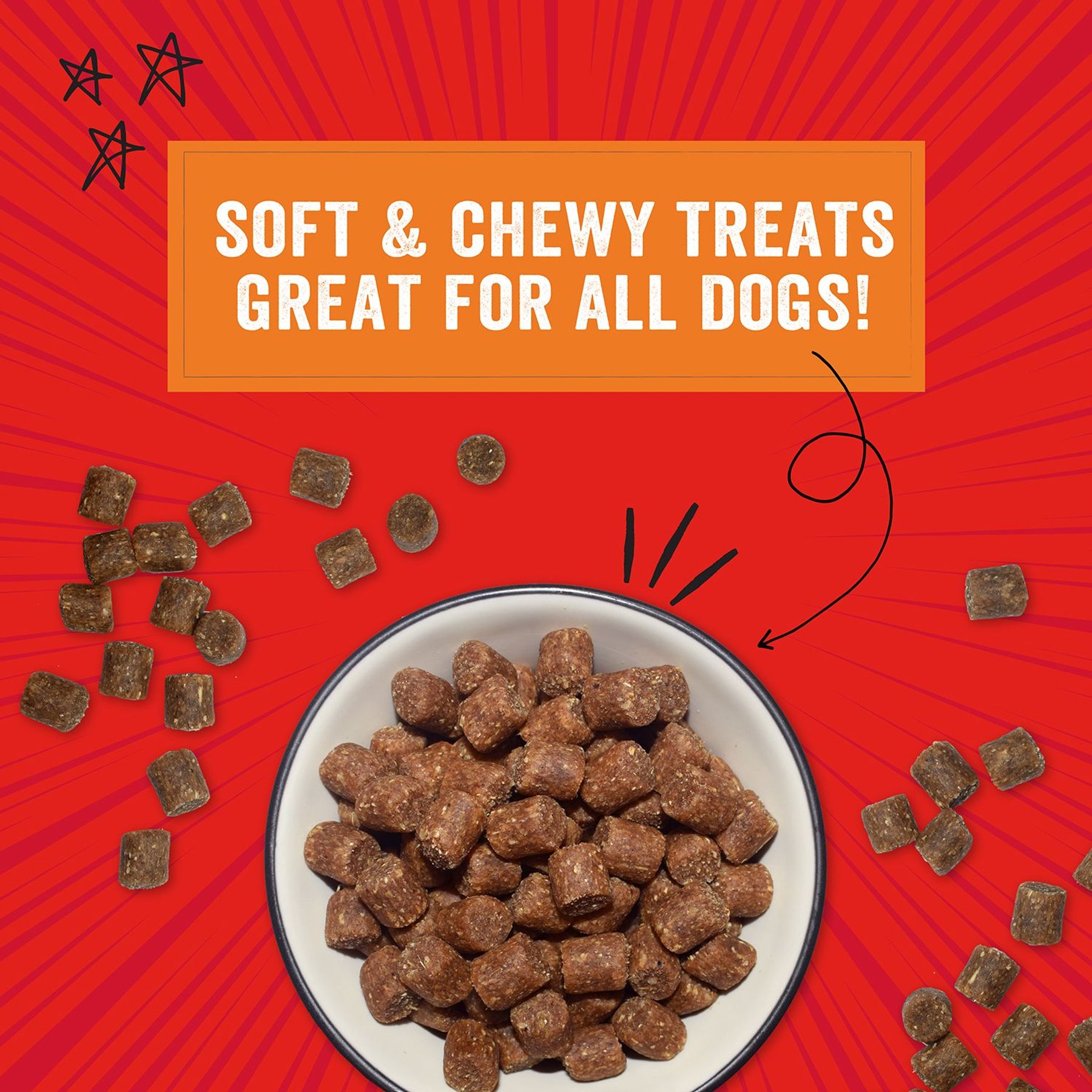 Stella & Chewy's Crav'n Bac'n Bites Bacon & Beef Recipe Dog Treats