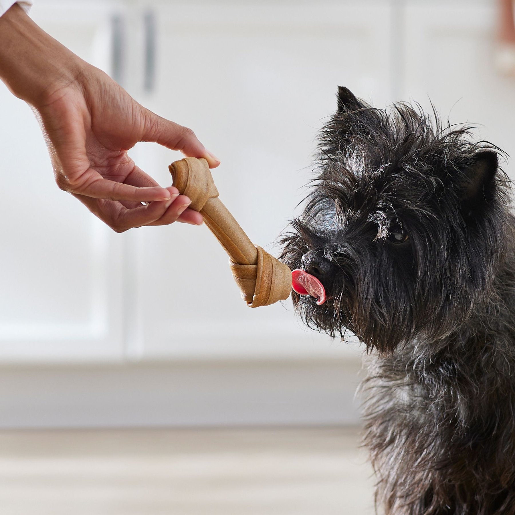 True Acre Foods, Rawhide-Free, Knotted Bones, with Natural Chicken Flavor Dog Treats