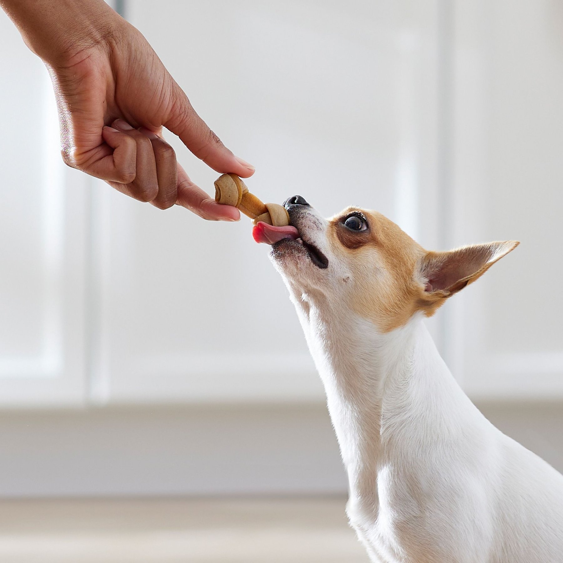 True Acre Foods, Rawhide-Free, Knotted Bones, with Natural Chicken Flavor Dog Treats