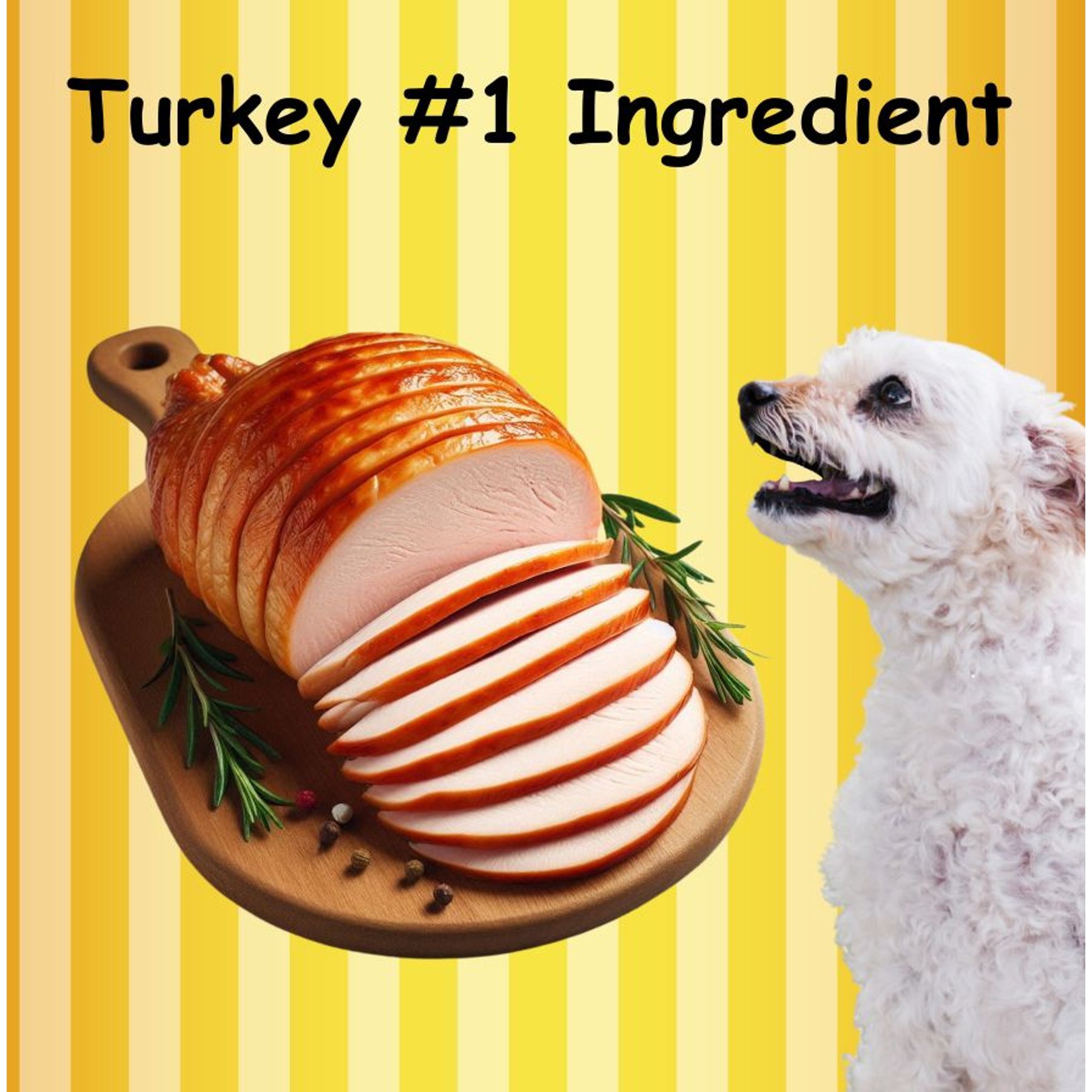 Fast Pet Food Fetch Fries Organic Turkey & Sweet Potato Grain-Free Dog Treats, 5-oz bag