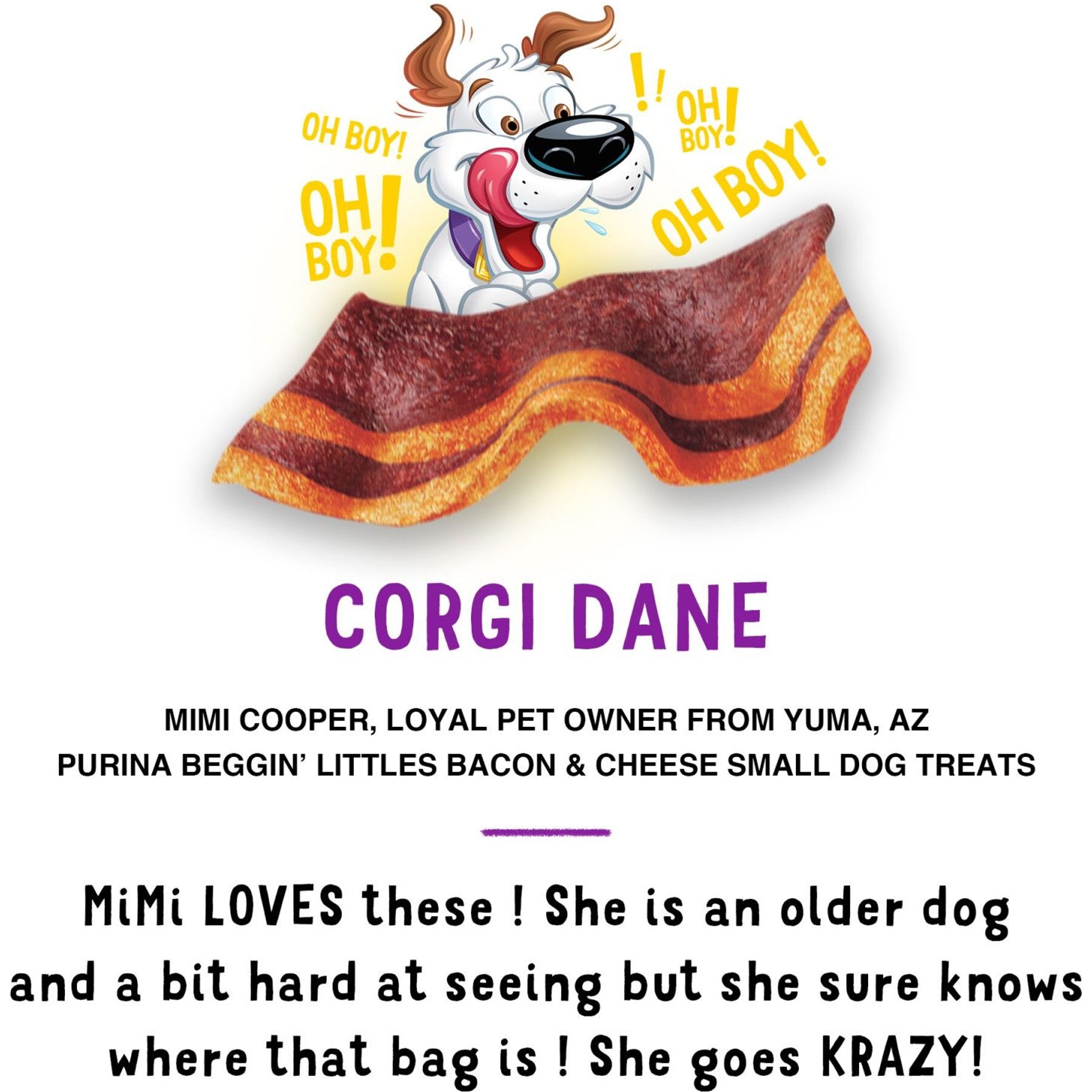 Purina Beggin' Fun Size Bacon & Cheese Flavored Dog Treats