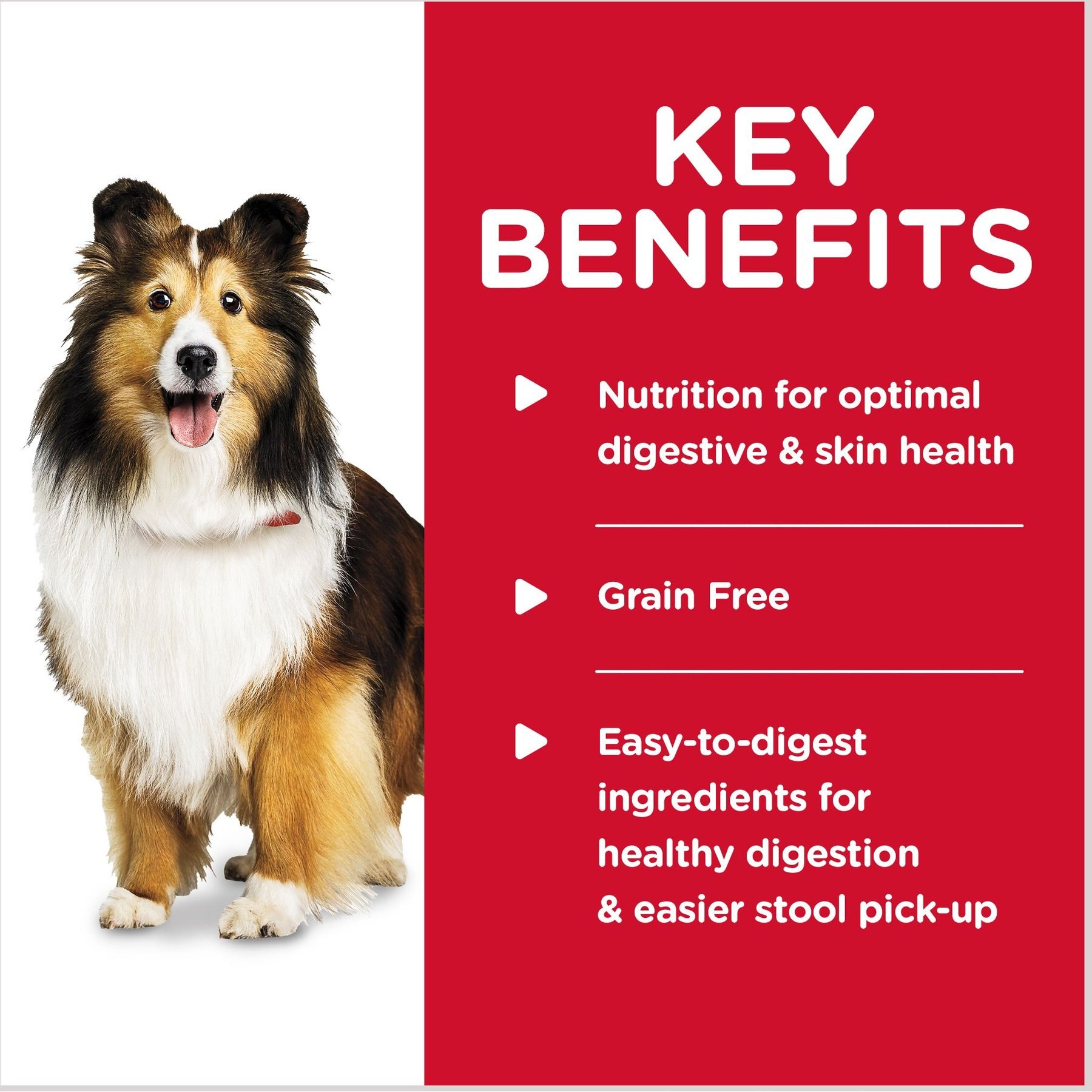 Hill's Science Diet Adult Sensitive Stomach & Sensitive Skin Chicken & Vegetable Entree Canned Dog Food