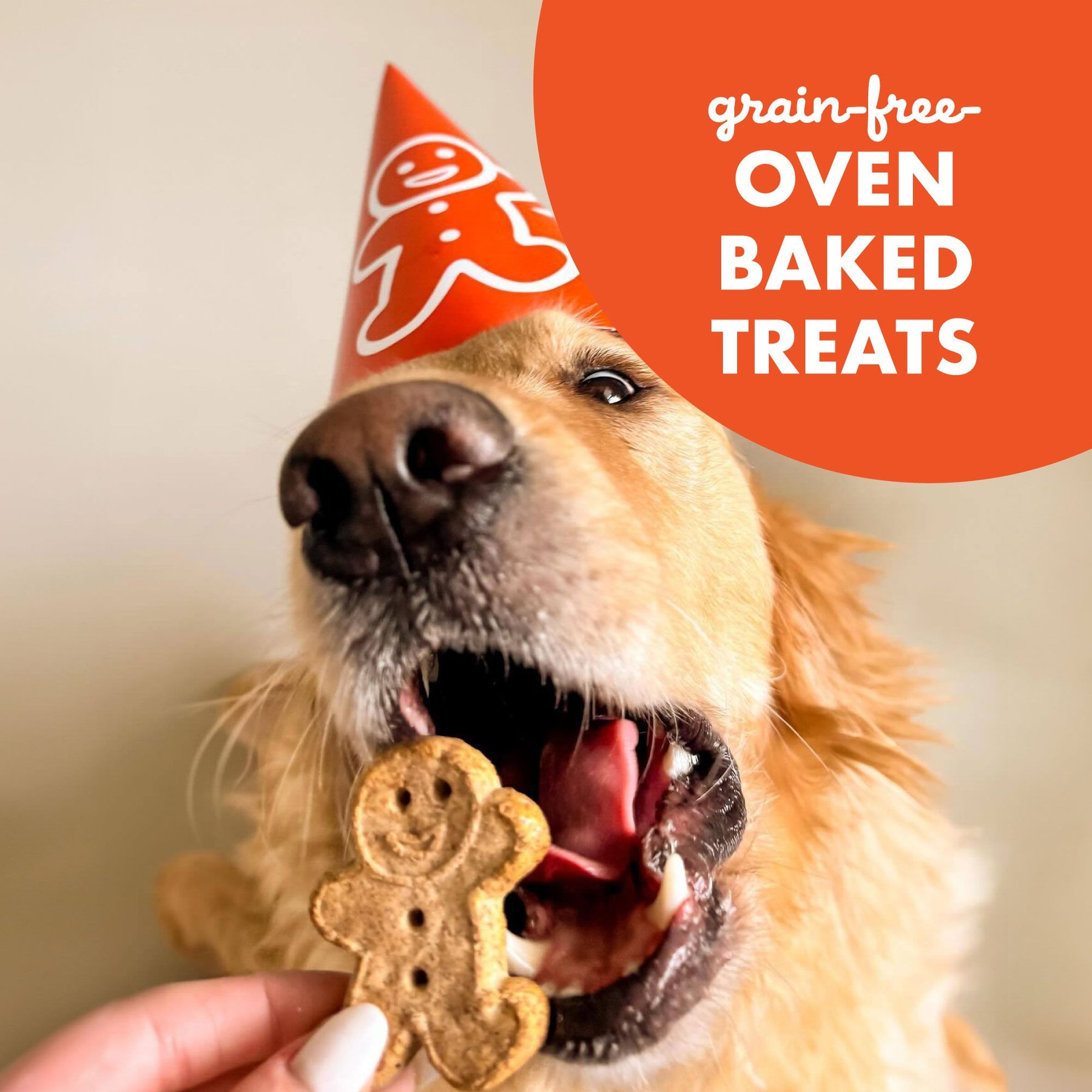 Buddy Biscuits Grain-Free Oven Baked with Homestyle Peanut Butter Dog Treats