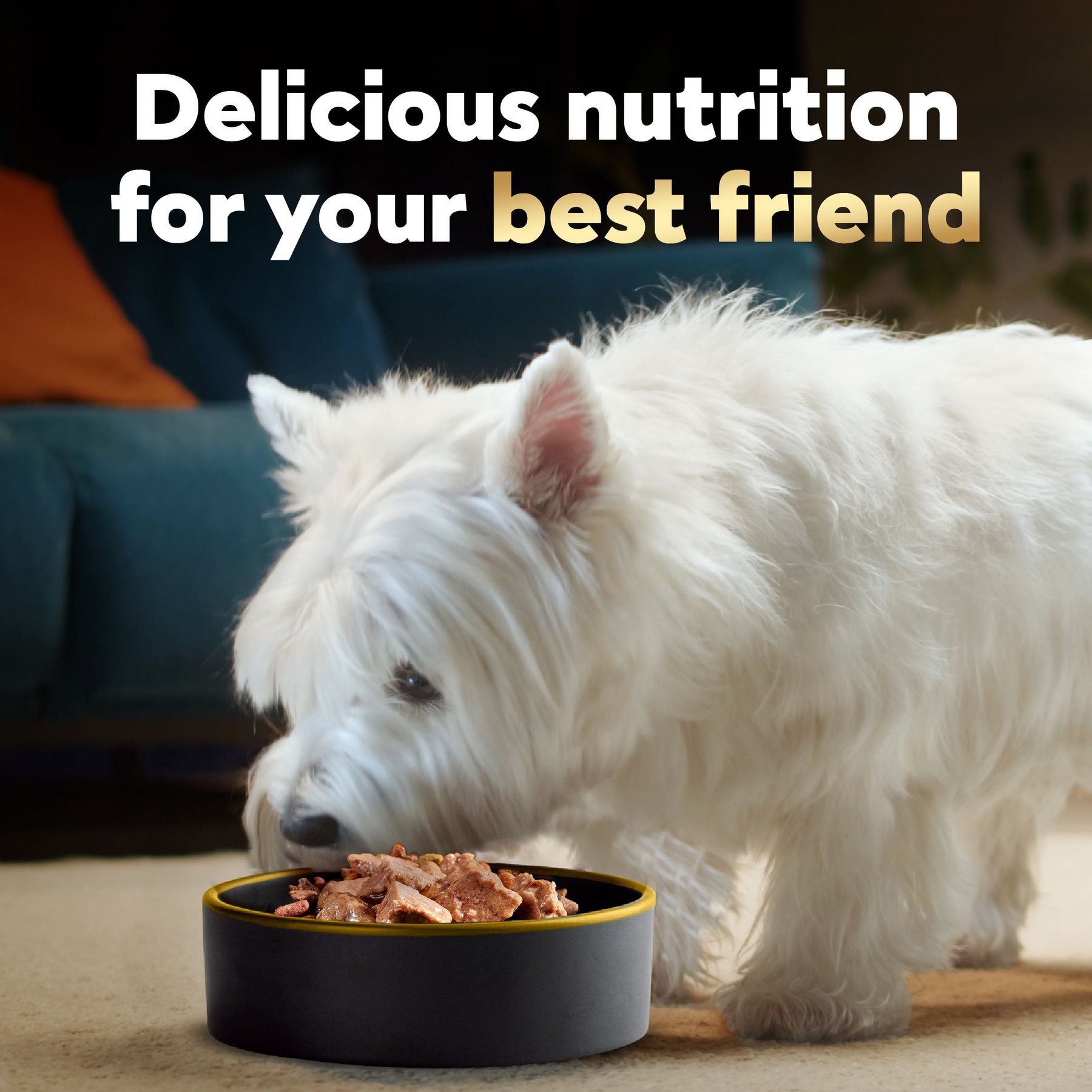 Cesar Loaf & Topper in Sauce Filet Mignon Flavor with Bacon & Potato Grain-Free Small Breed Adult Wet Dog Food Trays