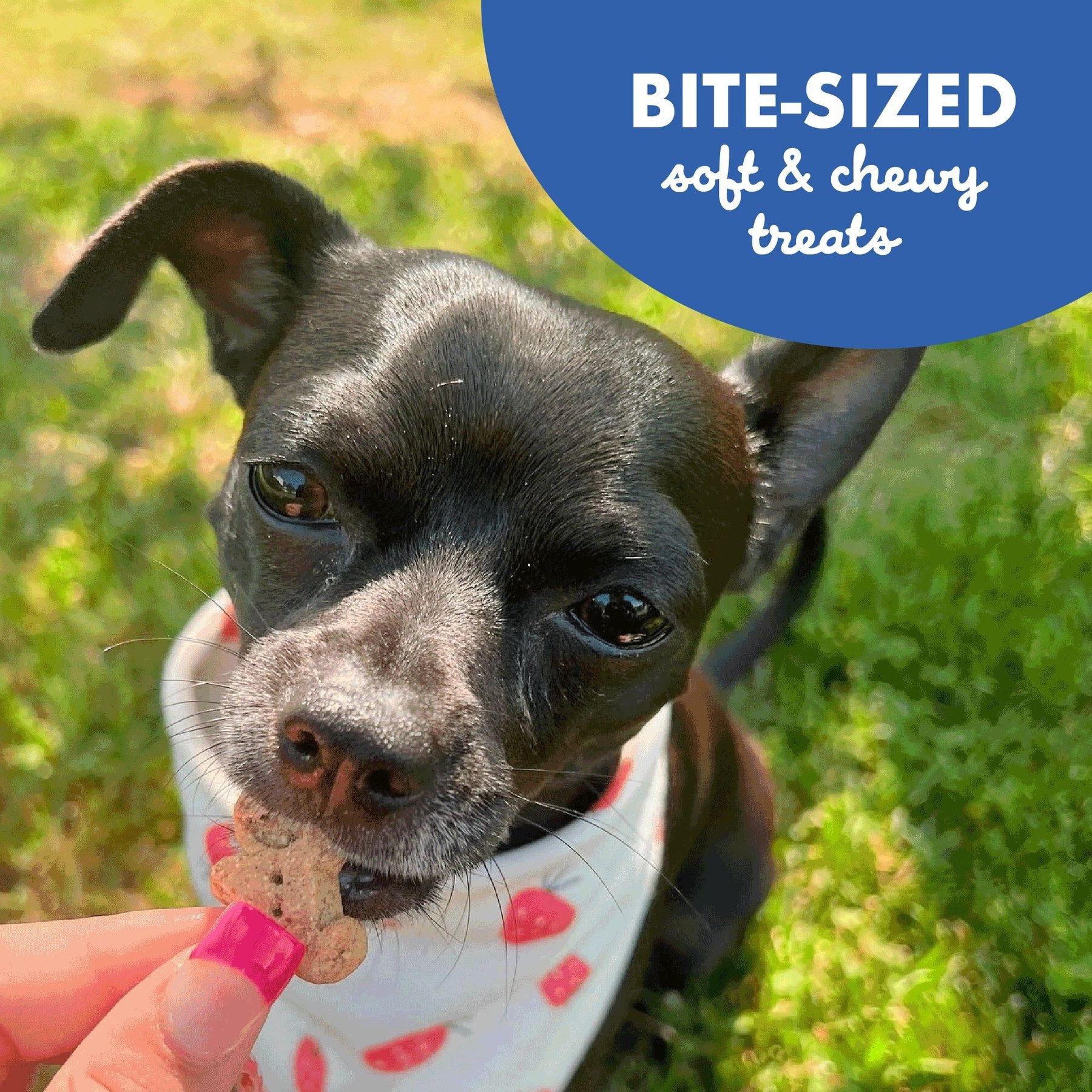 Buddy Biscuits Original Soft & Chewy with Bacon & Cheese Dog Treats