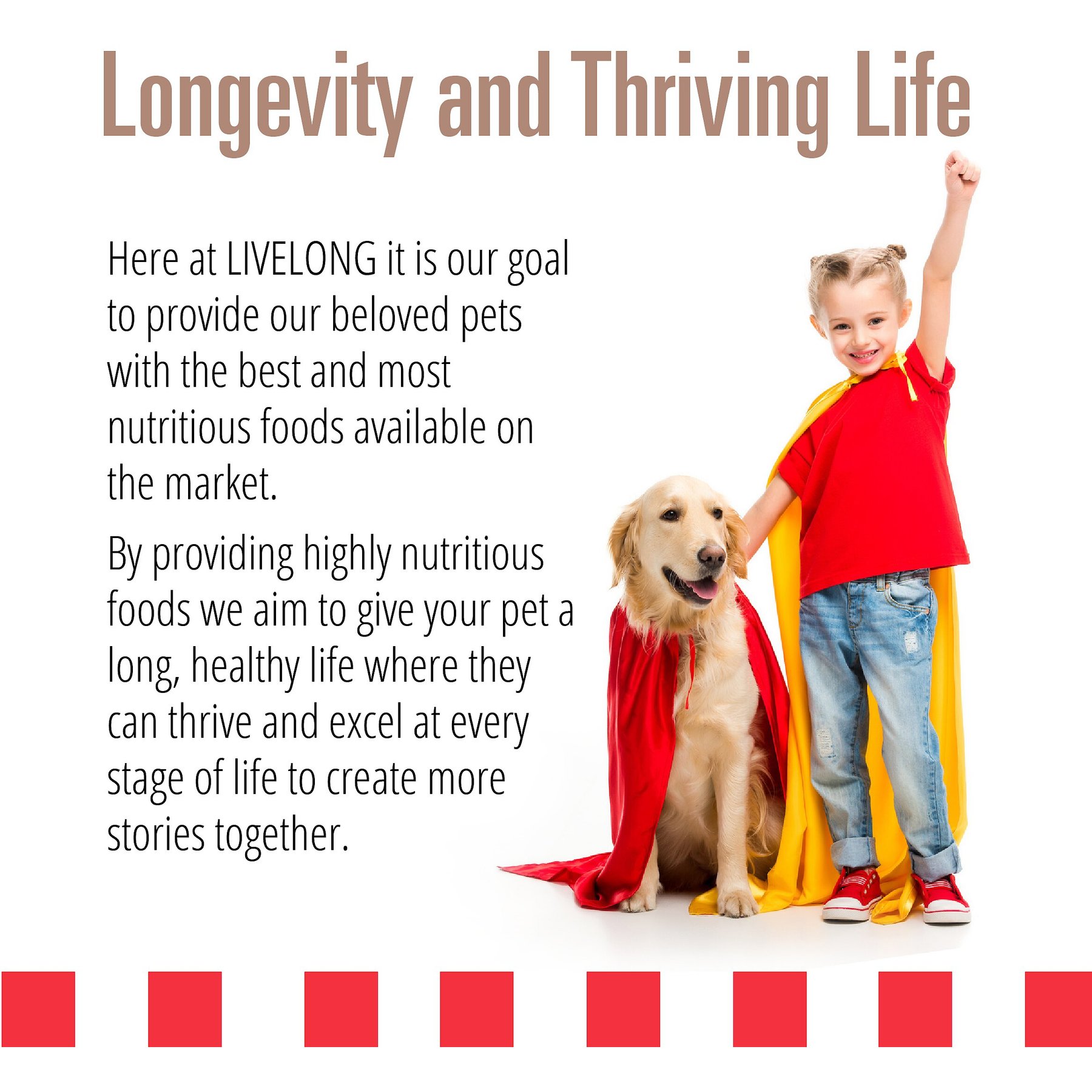 Livelong Healthy & Strong Pork & Sweet Potato Recipe Wet Dog Food, 12.5-oz can, case of 12