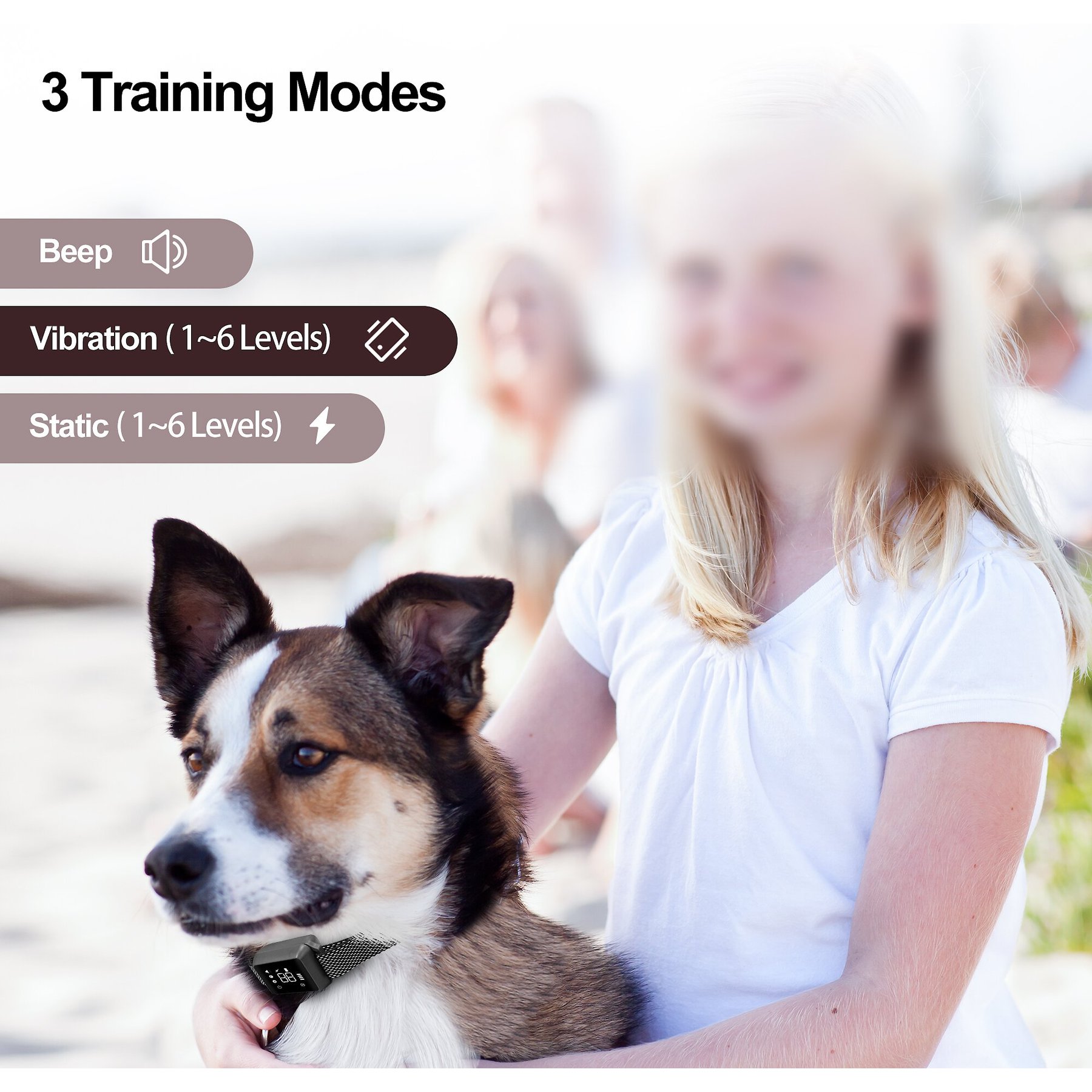 Petdiary Smart Waterproof Static Dog Bark Collar, Small, Dark Gray Free shipping
