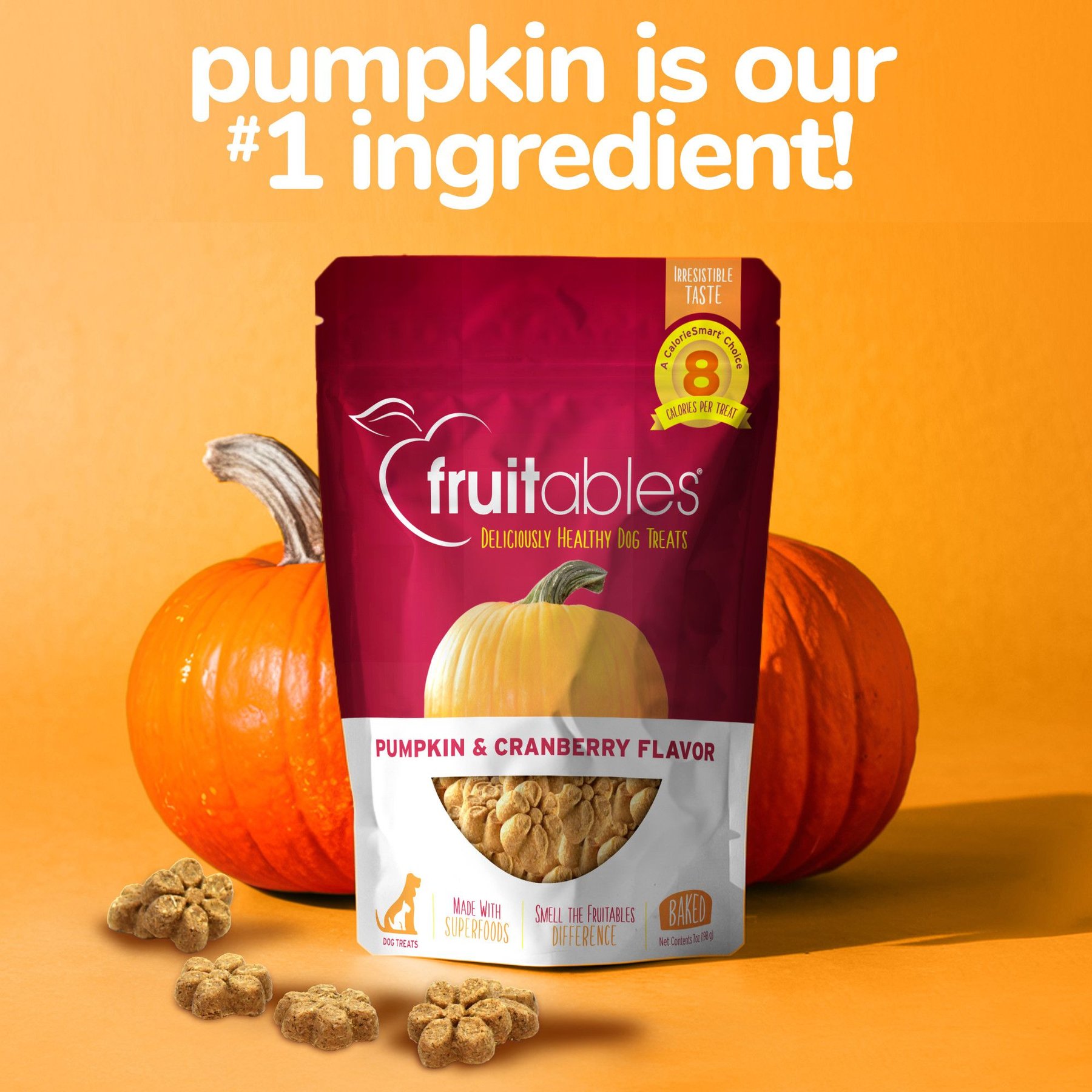 Fruitables Pumpkin & Cranberry Flavor Crunchy Dog Treats