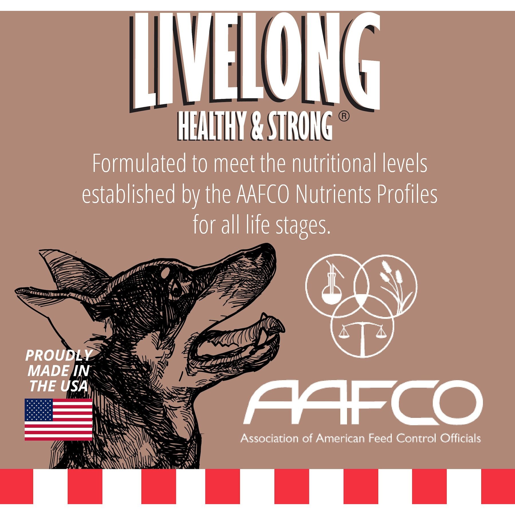 Livelong Healthy & Strong Pork & Sweet Potato Recipe Wet Dog Food, 12.5-oz can, case of 12