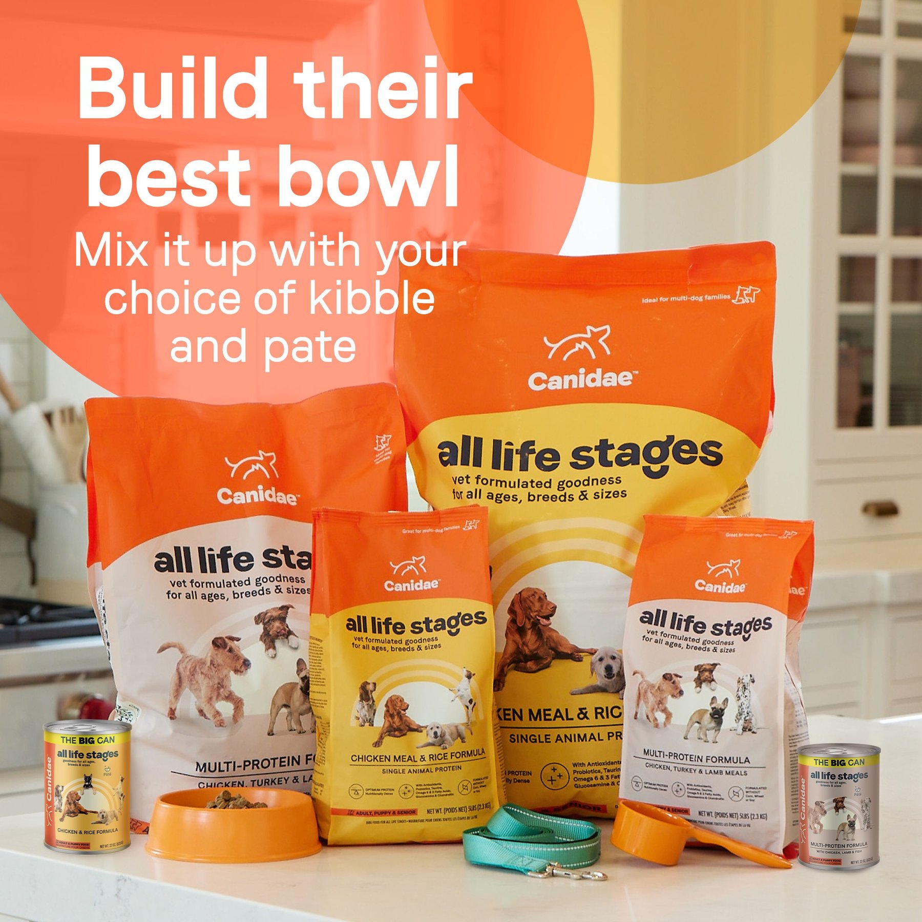 CANIDAE All Life Stages Multi-Protein Formula Chicken, Lamb & Fish Wet Dog Food, 22-oz can, case of 12