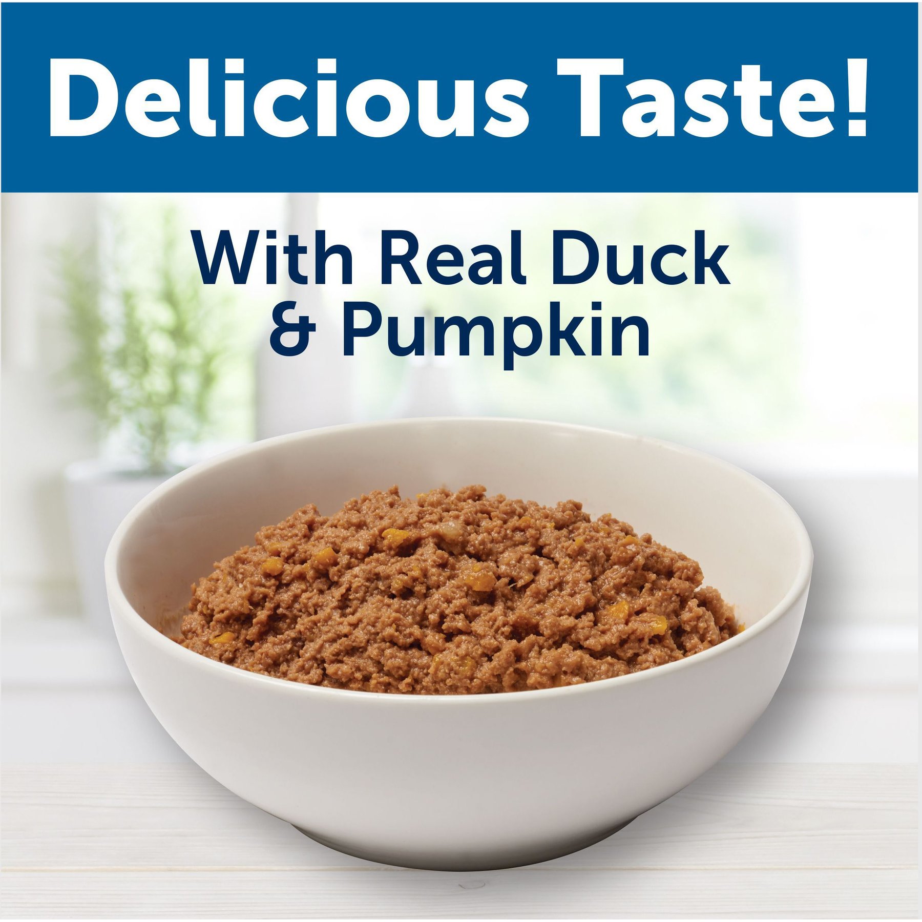 Bil-Jac Pate Platters with Duck & Pumpkin Canned Dog Food