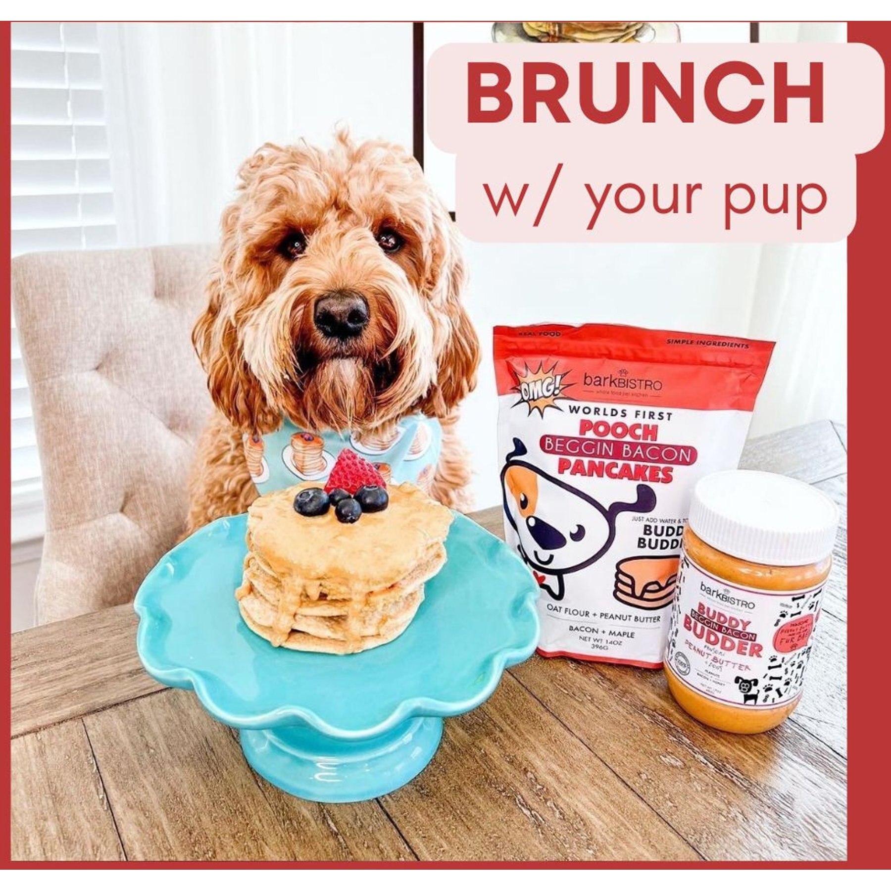 Bark Bistro Company Begging Bacon Pooch Pancakes Mix Dog Soft & Chewy Treats, 14-oz pouch