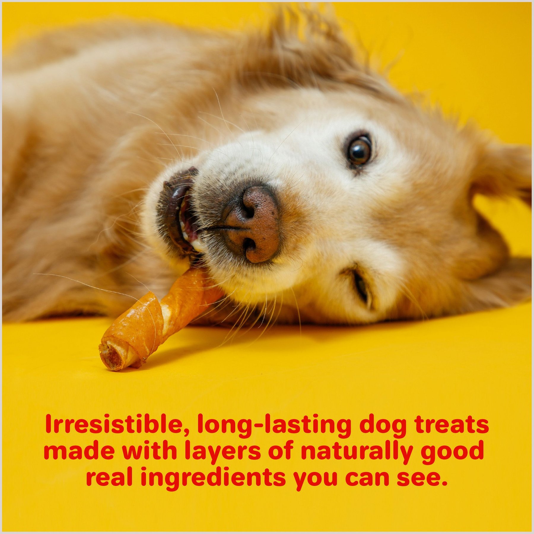 Hartz Oinkies Porkalicious Jerky Chicken Natural Chew Dog Treats