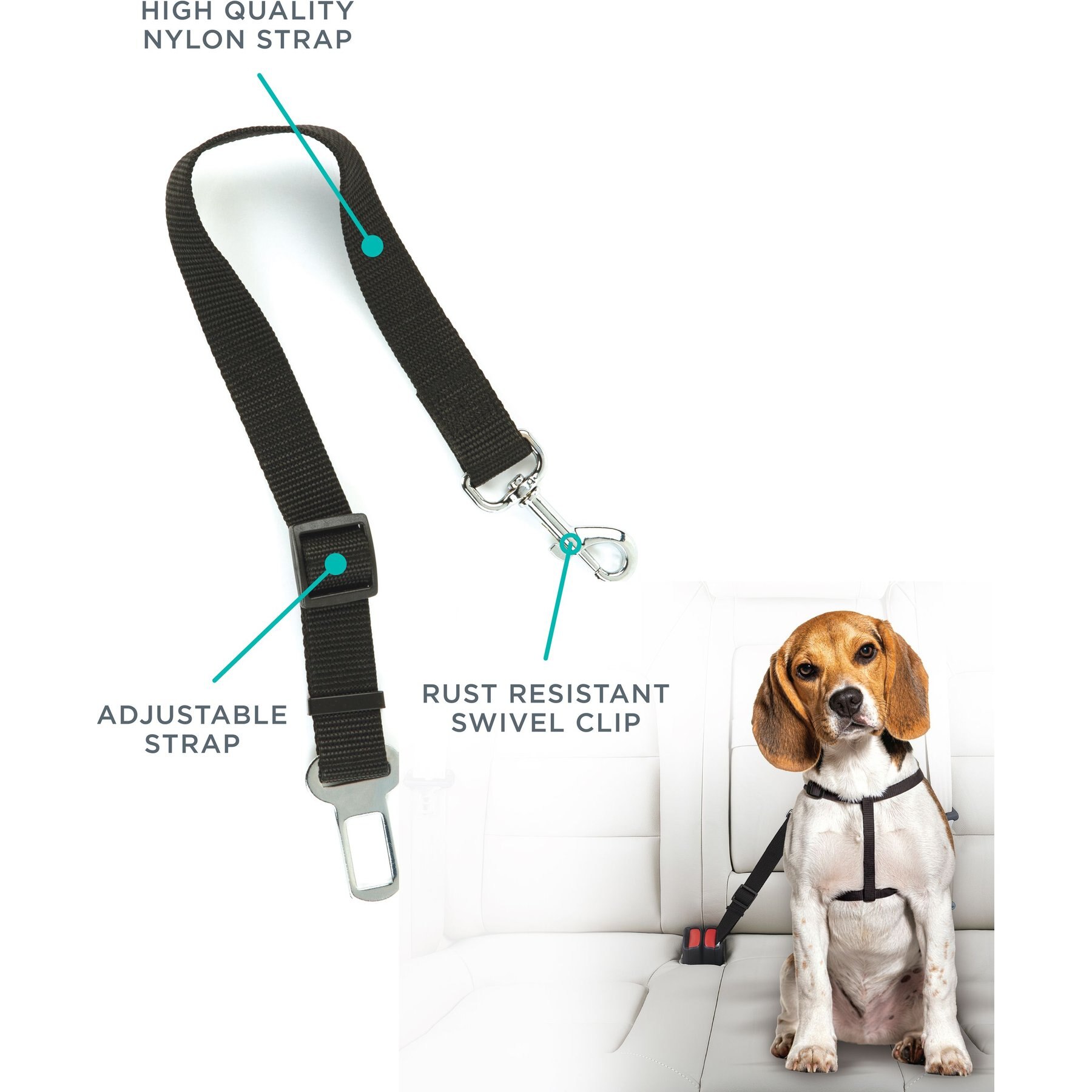 Pounce + Fetch Adjustable Nylon Seatbelt Dog Leash, Black