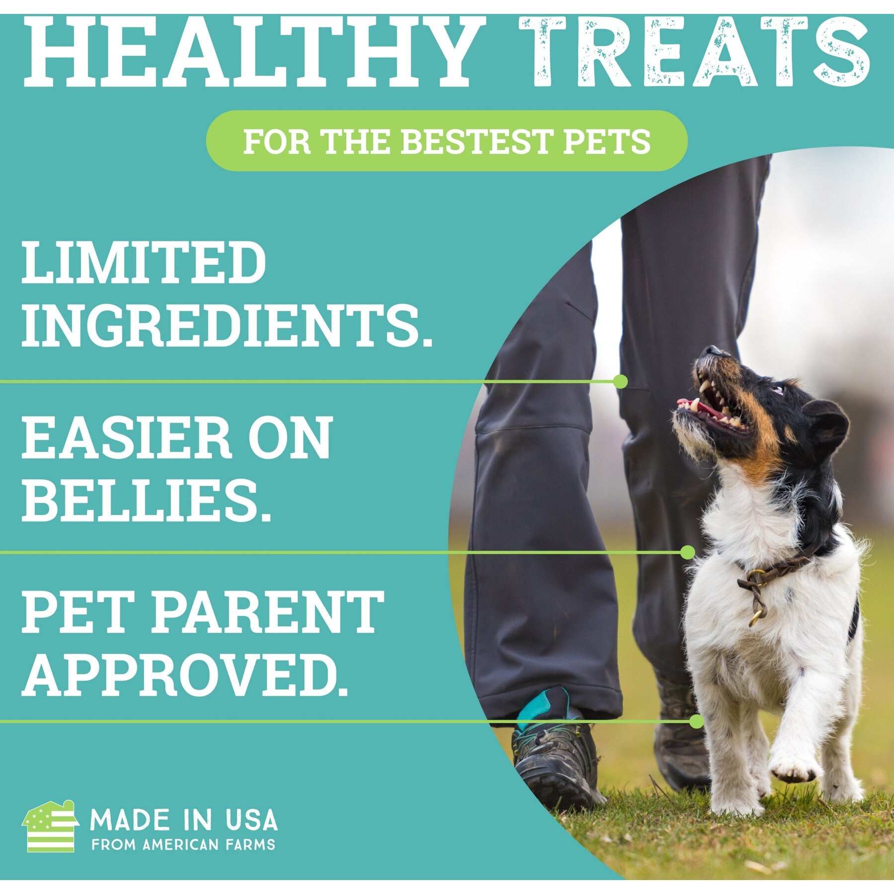 Etta Says! Sit! Cheese Recipe Soft & Chewy Dog Training Treats, 1-lb bag