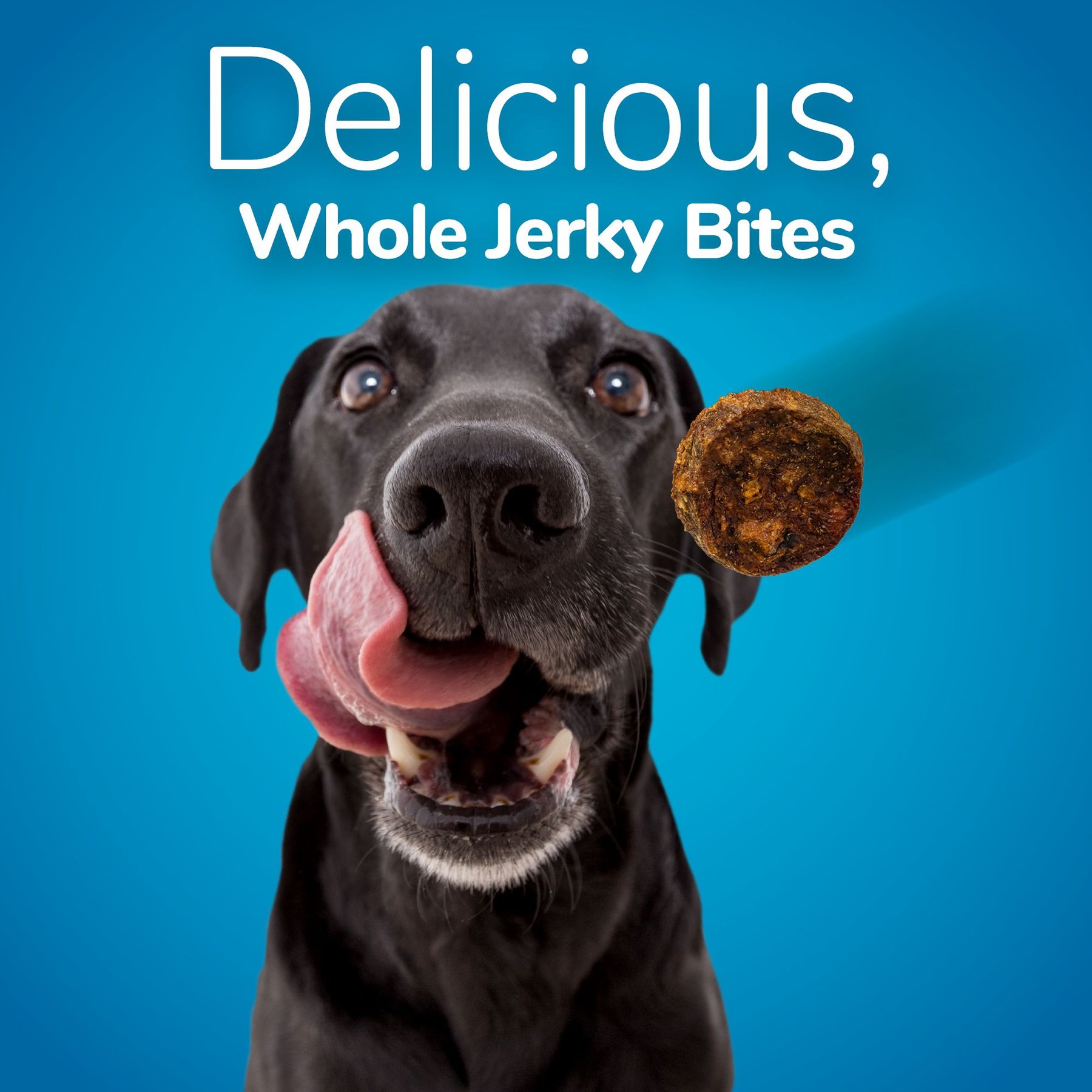 Fruitables Whole Jerky Bites Turkey & Sweet Potato Dog Treats