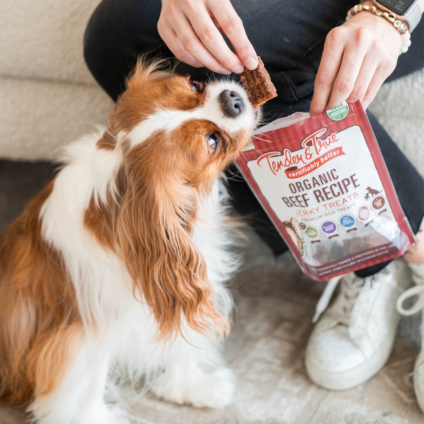 Tender & True Organic Beef Grain-Free Jerky Dog Treats, 4-oz bag