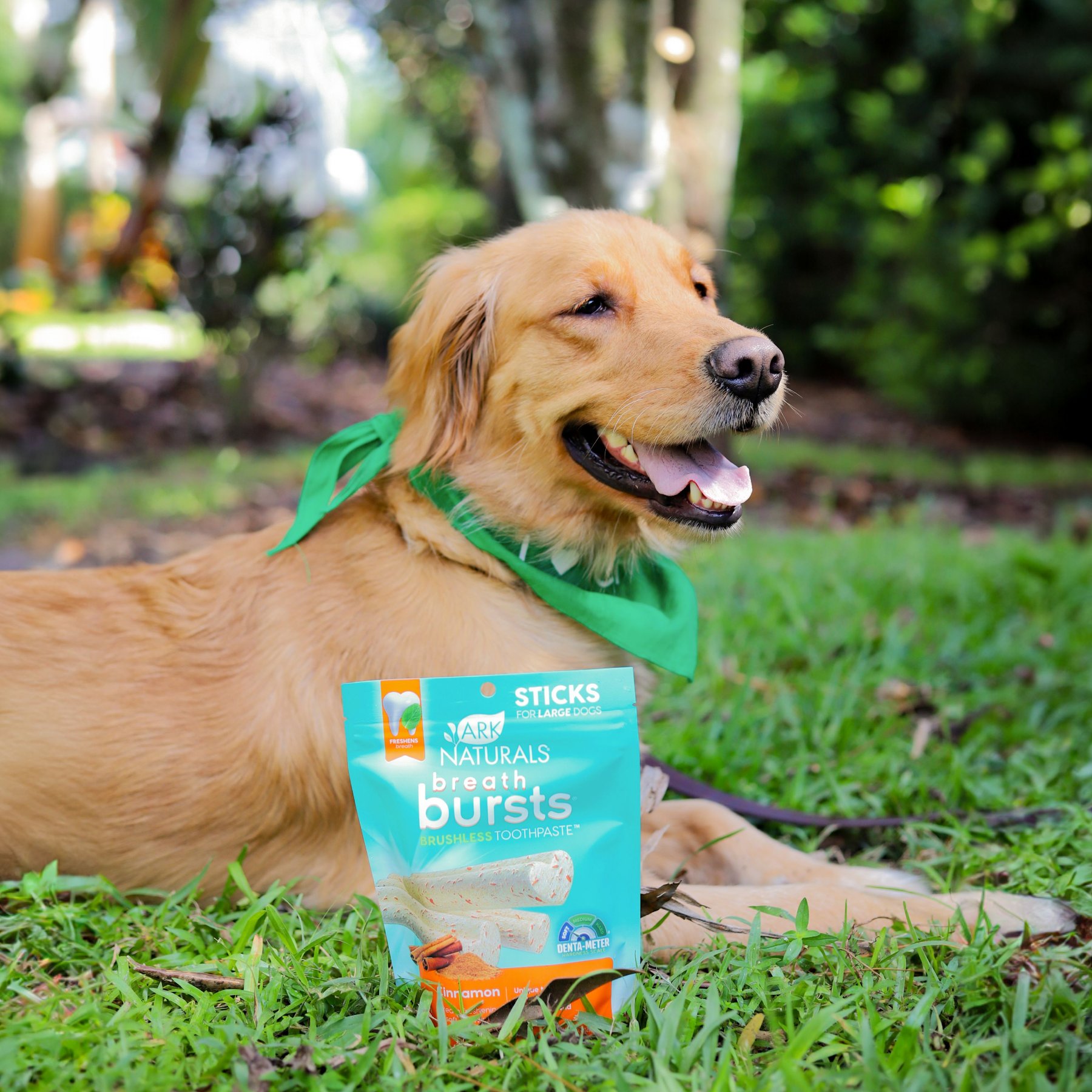 Ark Naturals Breath Bursts Cinnamon Sticks Medium/Large Dental Dog Treats, 6-oz bag