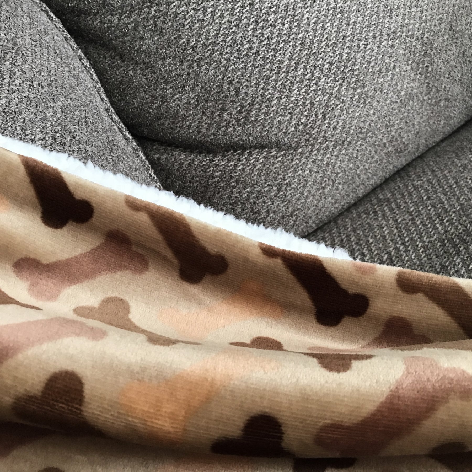 HappyCare Textiles Ultra Soft Flannel Cat & Dog Blanket