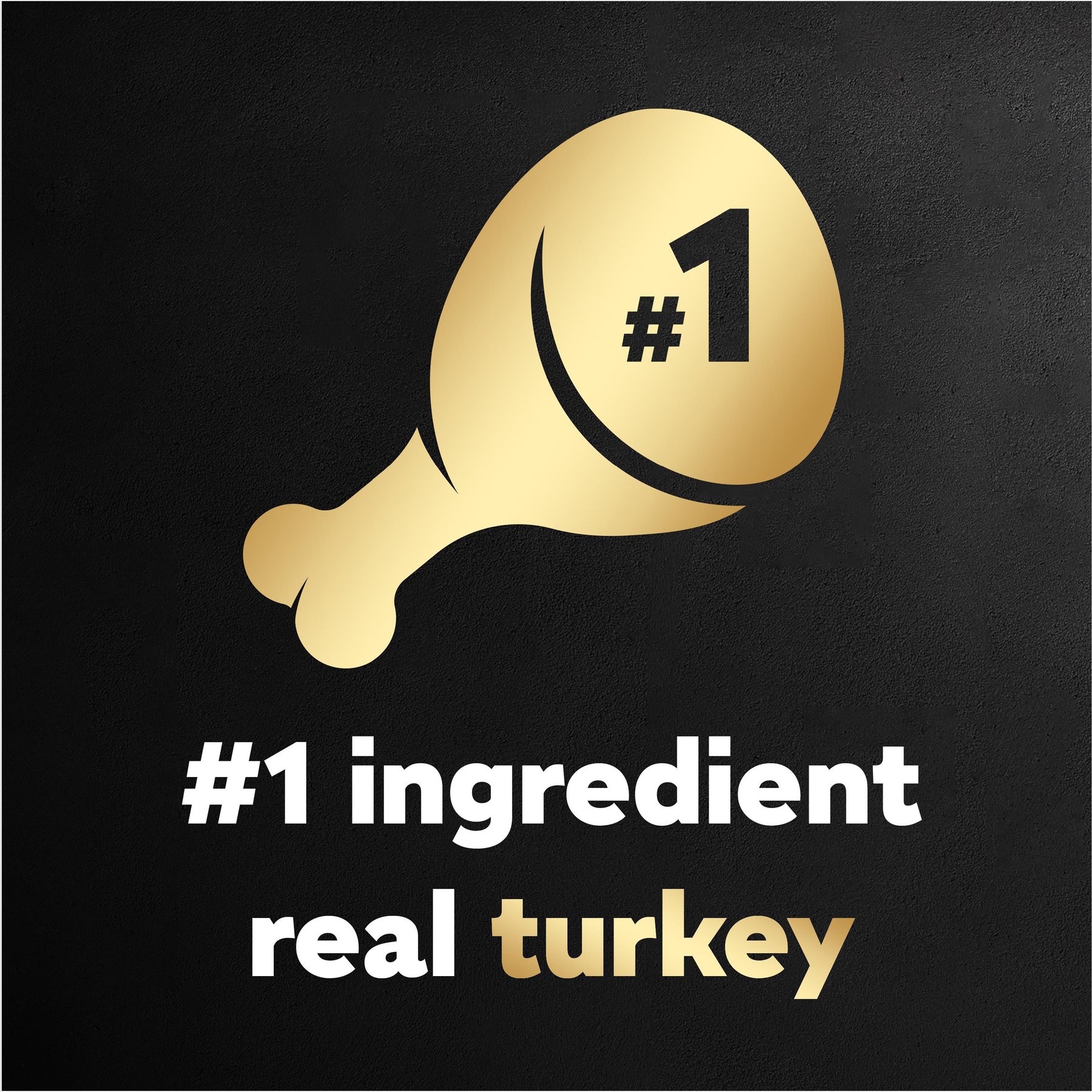 Cesar Turkey Recipe Filets in Gravy Small Breed Adult Wet Dog Food Trays
