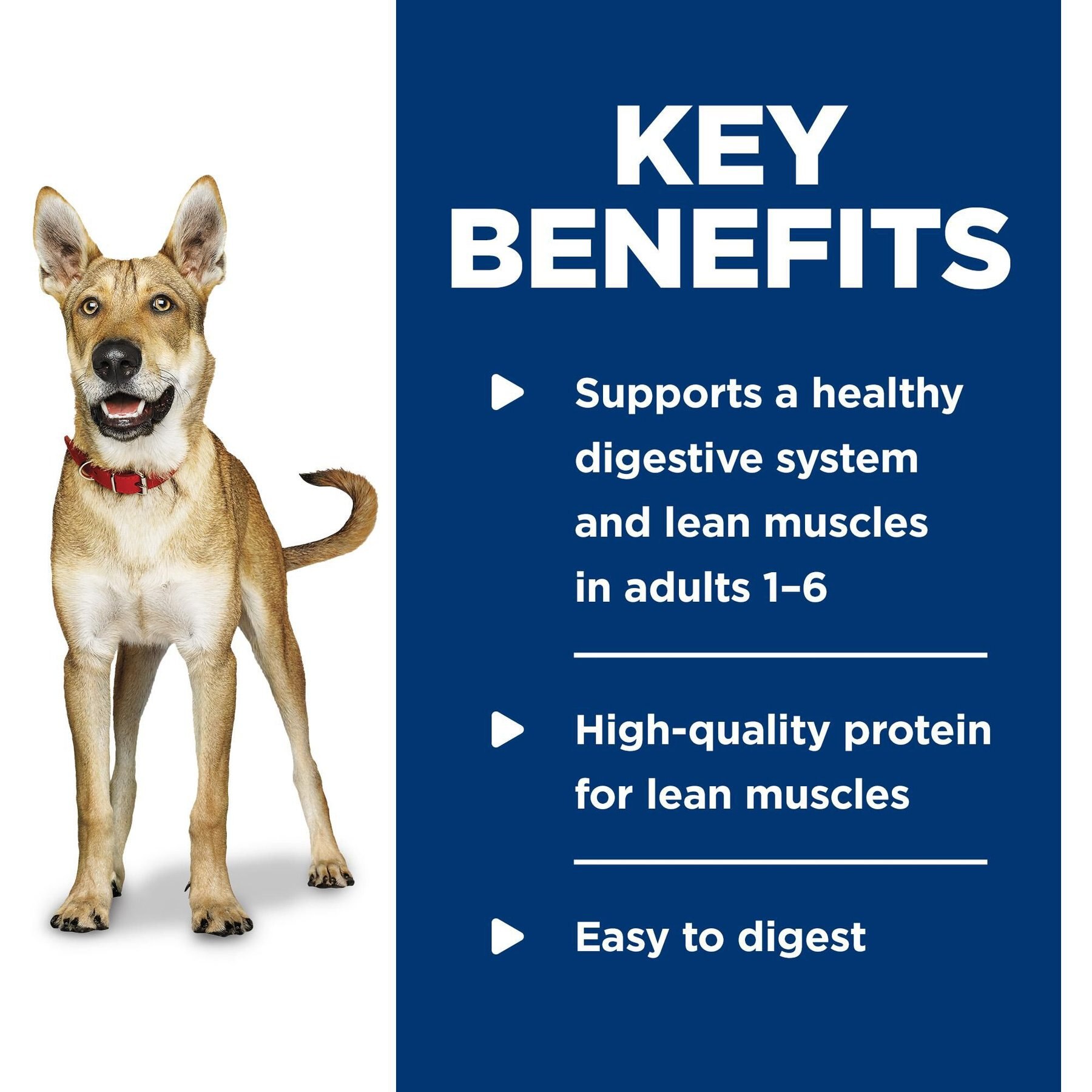 Hill's Science Diet Adult Beef & Barley Entree Canned Dog Food