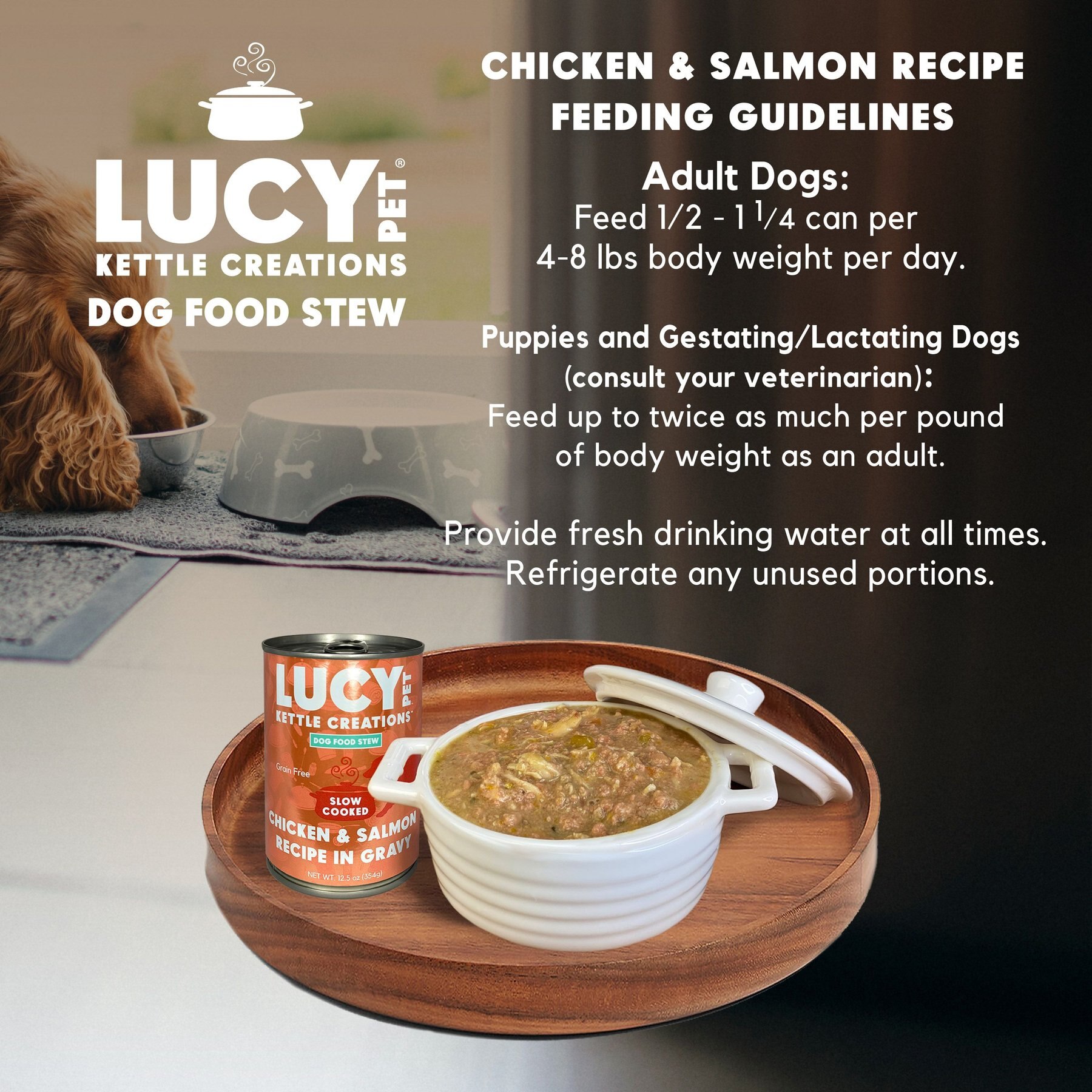 Lucy Pet Products Kettle Creations Chicken & Salmon Recipe in Gravy Wet Dog Food, 12.5-oz can, case of 12