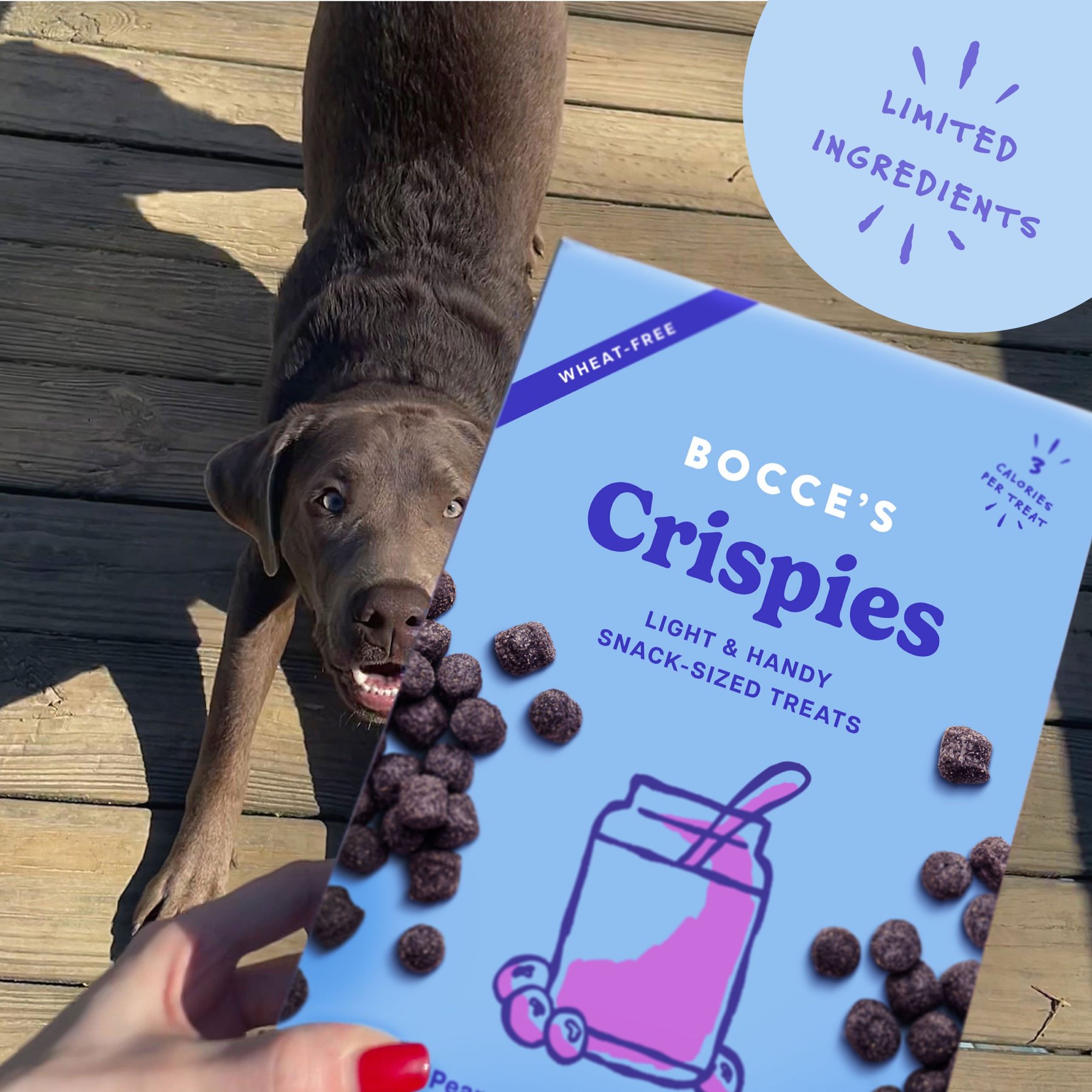 Bocce's Bakery Crispies PB & Blueberry Recipe Dog Treats, 10-oz box