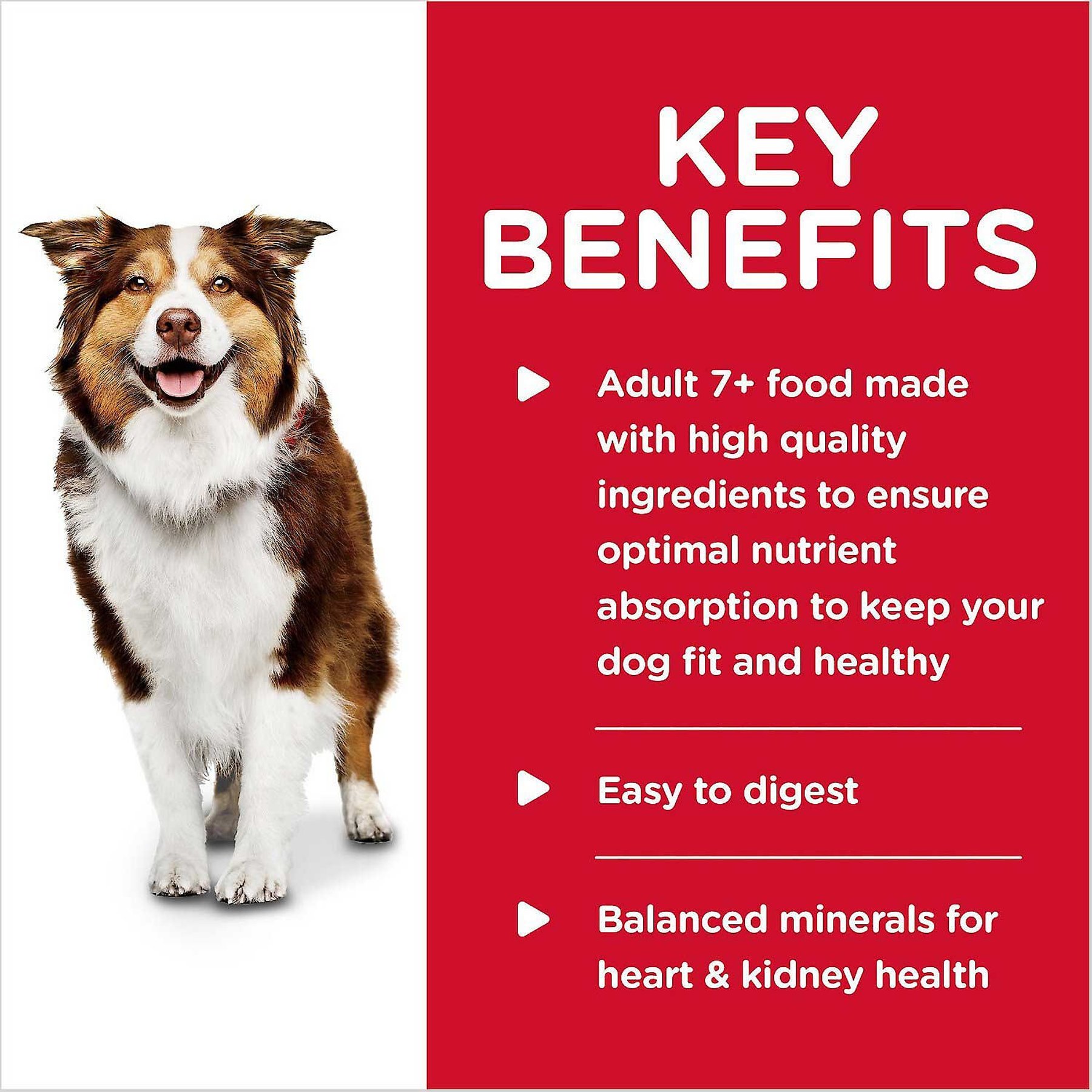 Hill's Science Diet Senior Adult 7+ Savory Stew with Beef & Vegetables Canned Dog Food