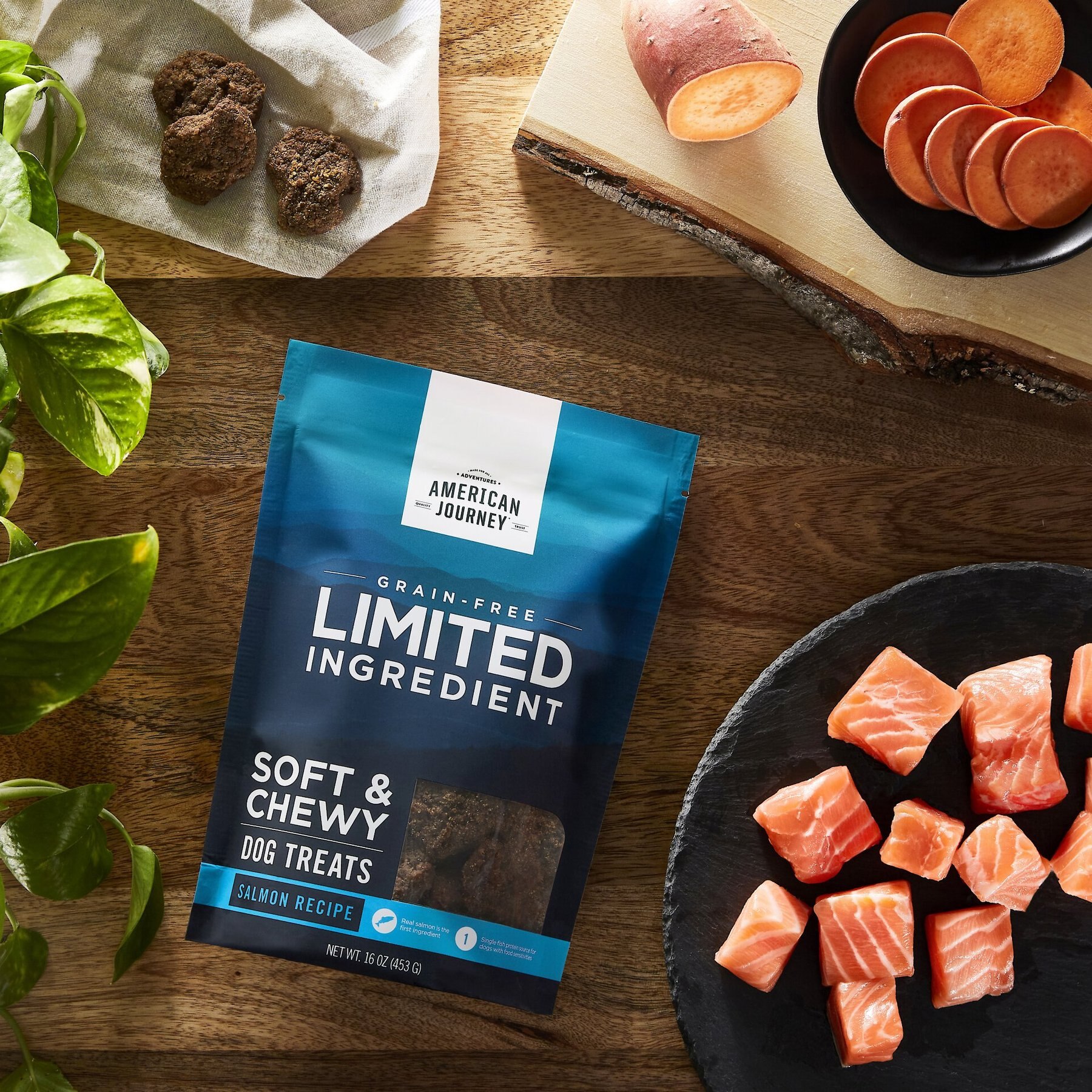 American Journey Limited Ingredient Grain-Free Salmon Recipe Soft & Chewy Dog Treats, 16-oz bag