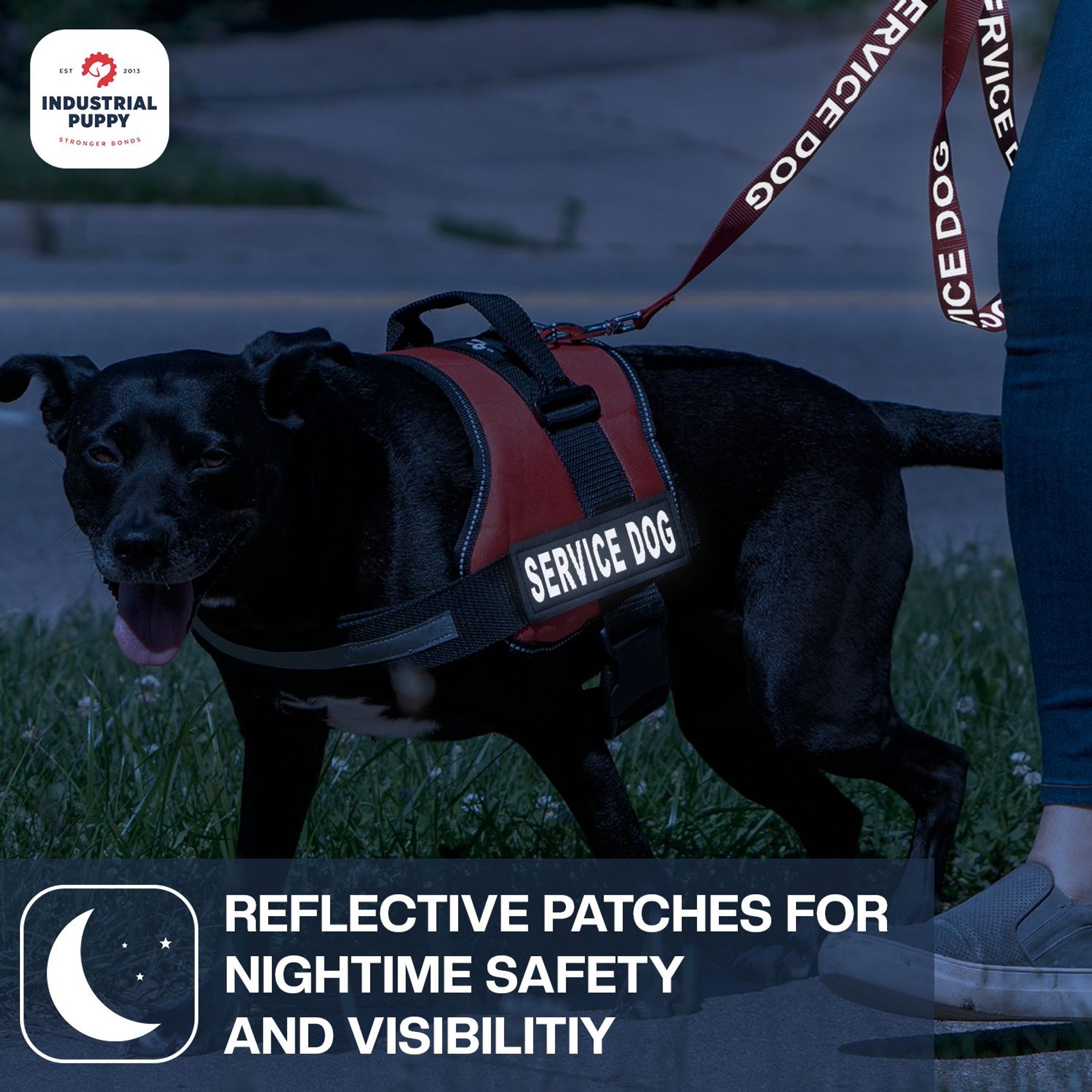 Industrial Puppy Service Dog Patches