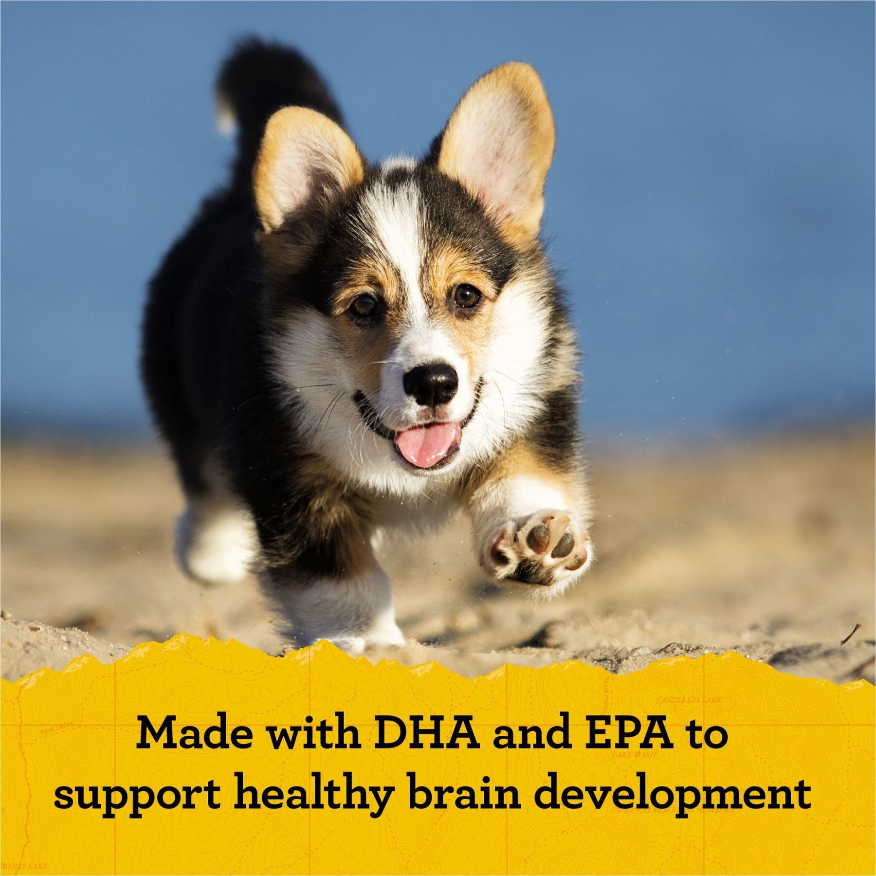 Zuke's Puppy Naturals Pork & Chickpea Recipe Grain-Free Dog Treats