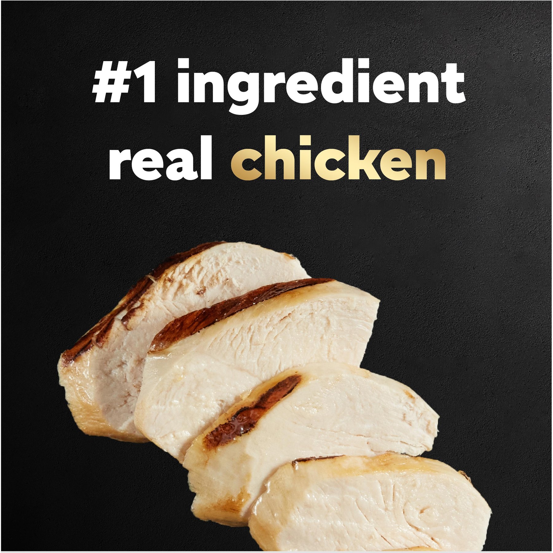 Cesar Rotisserie Chicken Flavor Filets in Gravy Small Breed Adult Wet Dog Food Trays