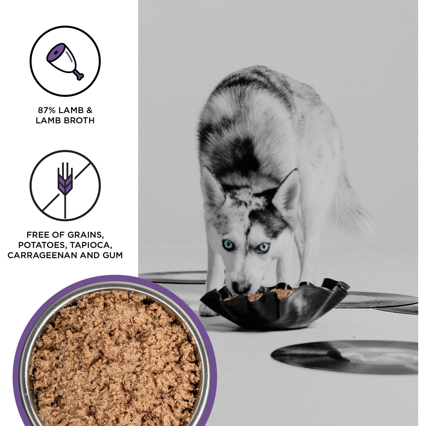 BIXBI Liberty Limited Ingredient Lamb Recipe Canned Dog Food, 12.5-oz can, case of 12