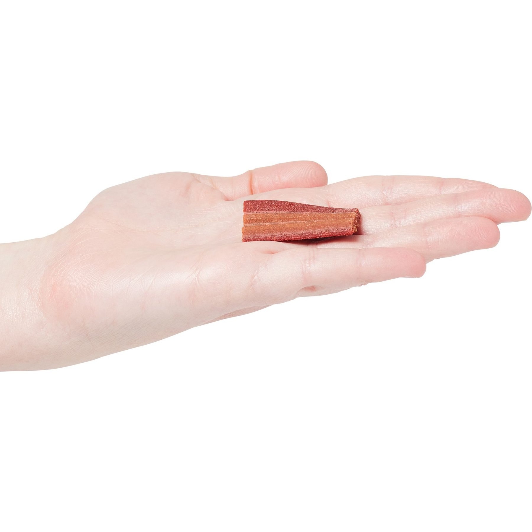 Canine Carry Outs Bacon Flavor Dog Treats