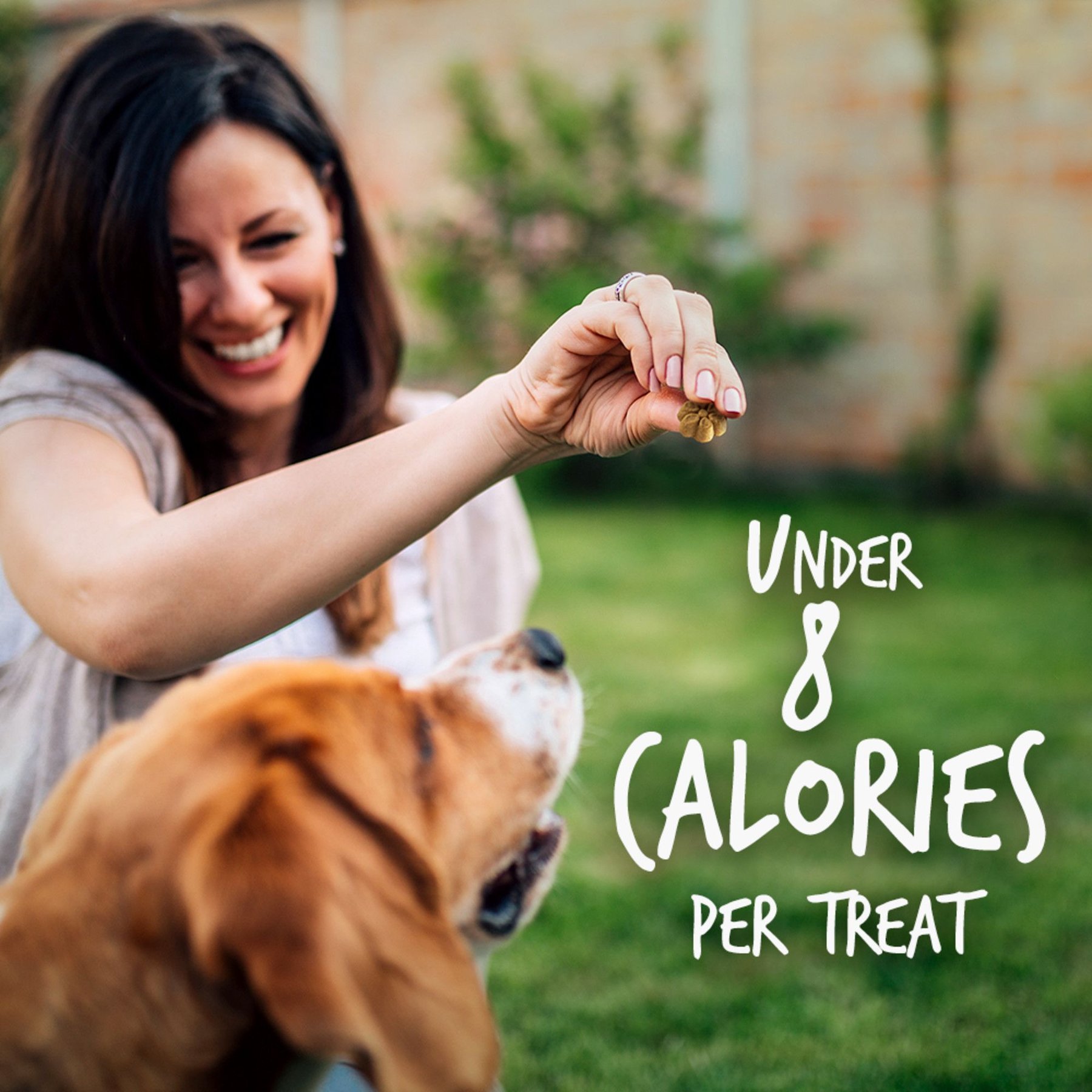 Fruitables Pumpkin & Cranberry Flavor Crunchy Dog Treats