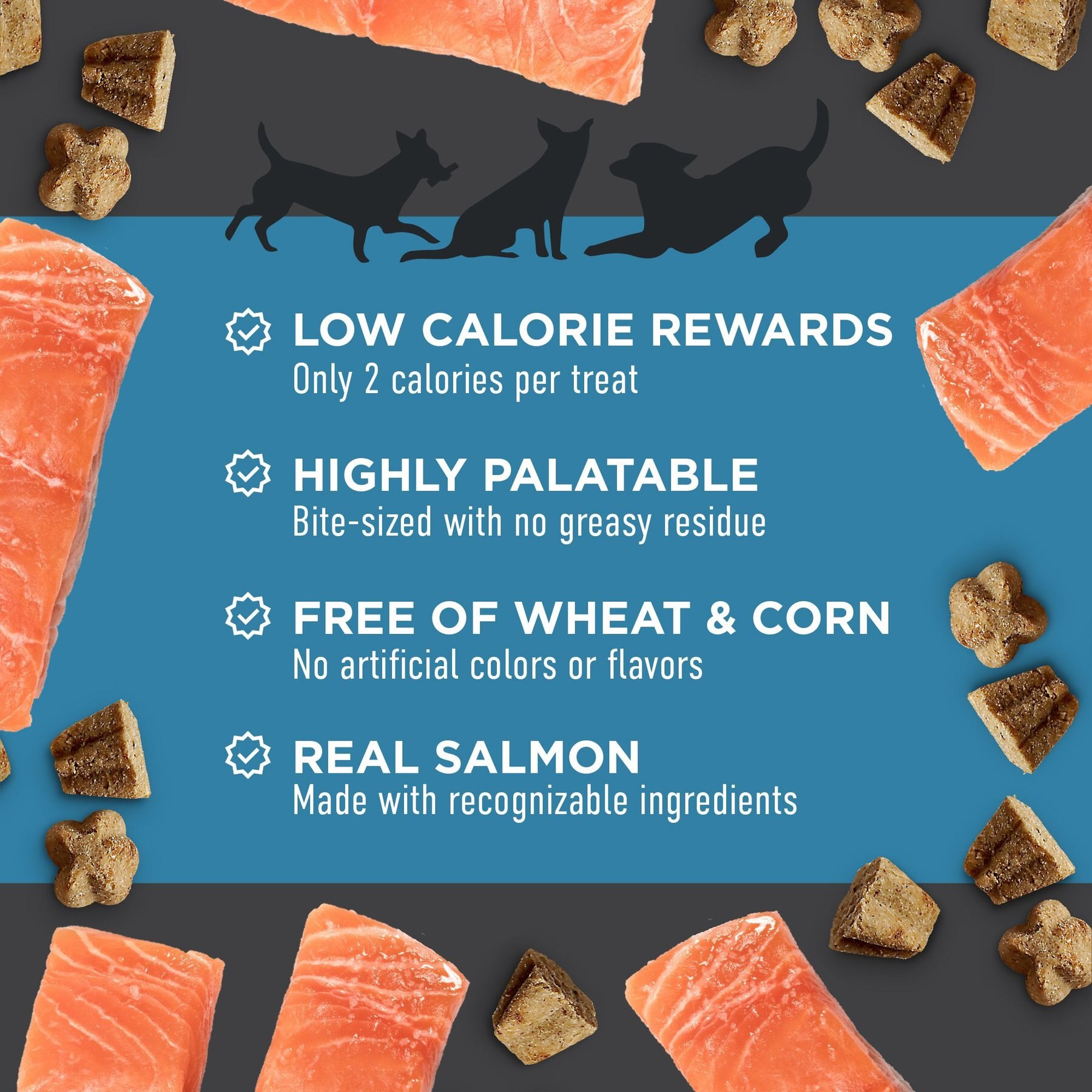 Cloud Star Crunchy Tricky Trainers Salmon Flavor Dog Treats