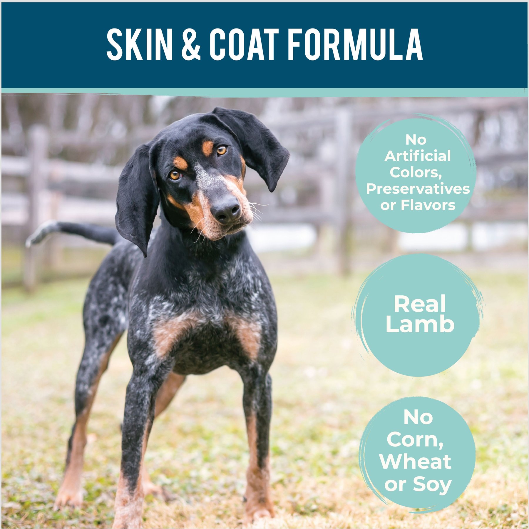 Howl's Kitchen Canine Cookies Lamb & Blueberry Flavor Dog Treats