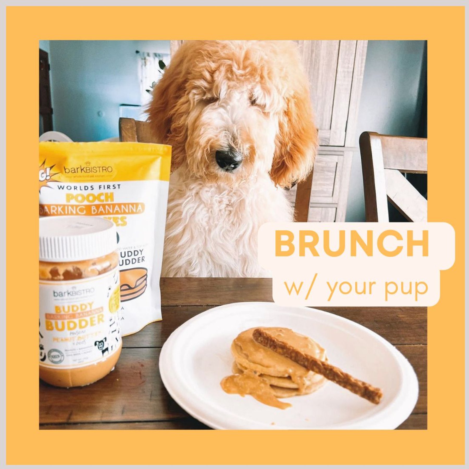 Bark Bistro Company Pooch Pancakes Barking Banana Dog Treat, 14-oz bag